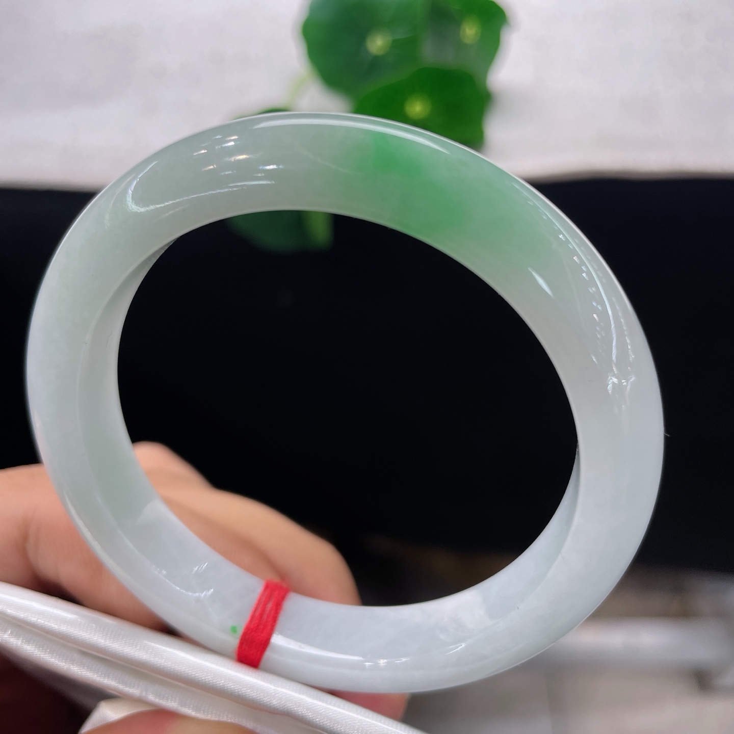 圈口54/10.4/8.5，白底青正圈，53/54可戴，白玉为底，翠色点睛。微棉线