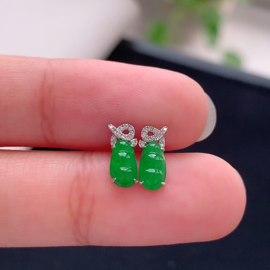 冰阳绿福豆耳钉 翠色明媚，冰润底子细腻，佩戴优雅时尚 货号51803，6.8-4.1-1.9