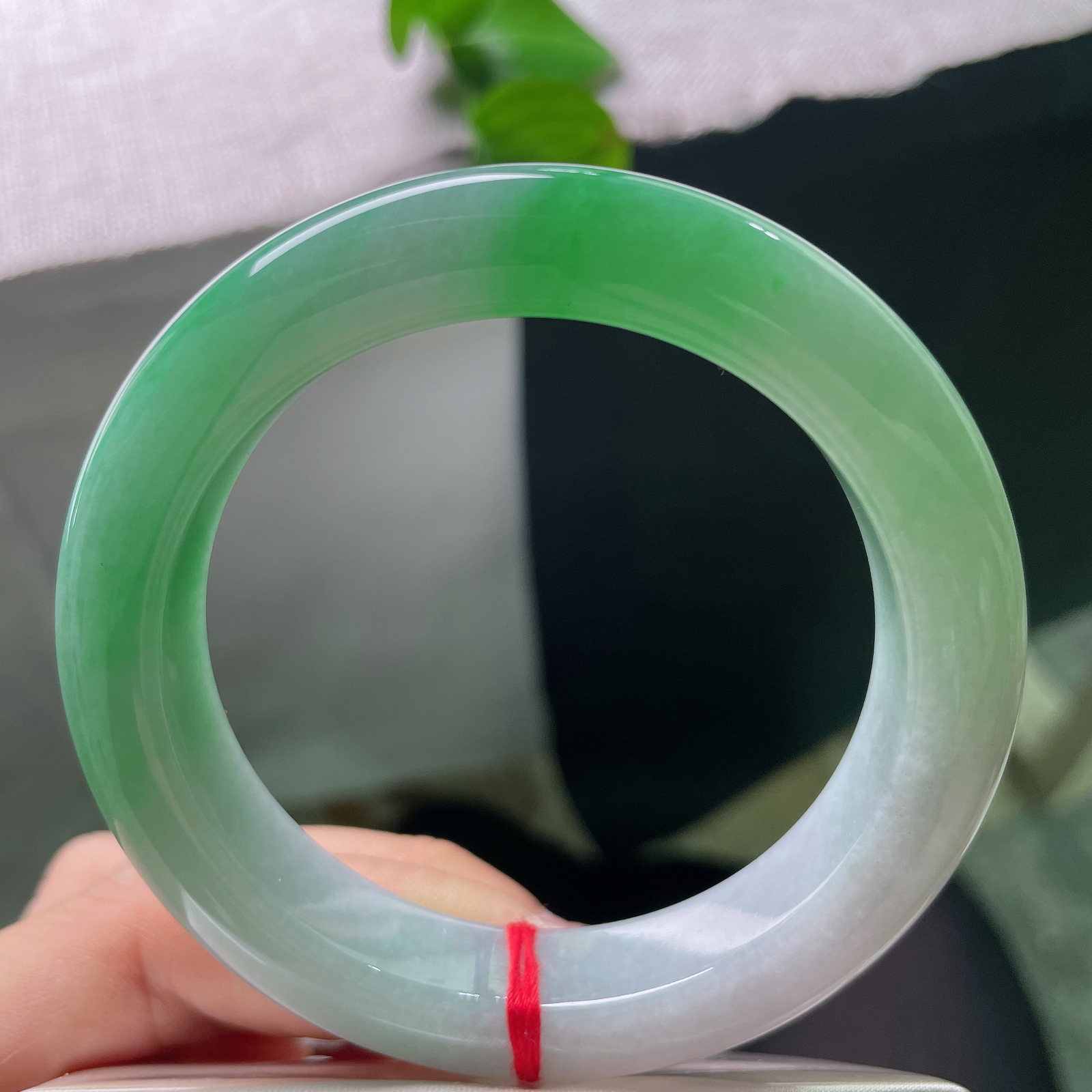 56.2/12.5/10.1，飘绿，正圈，郁郁葱葱好耐看，春色满园，大气沉稳，耐看，57254a