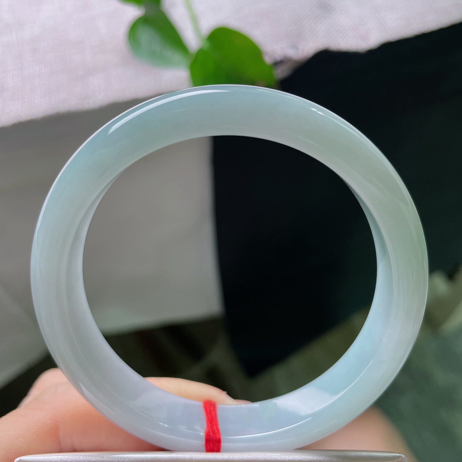 特惠活动#57.9/11.8/7.5，蓝底正圈，清爽自然，落落大方，百搭款，时尚不挑肤色，57341a