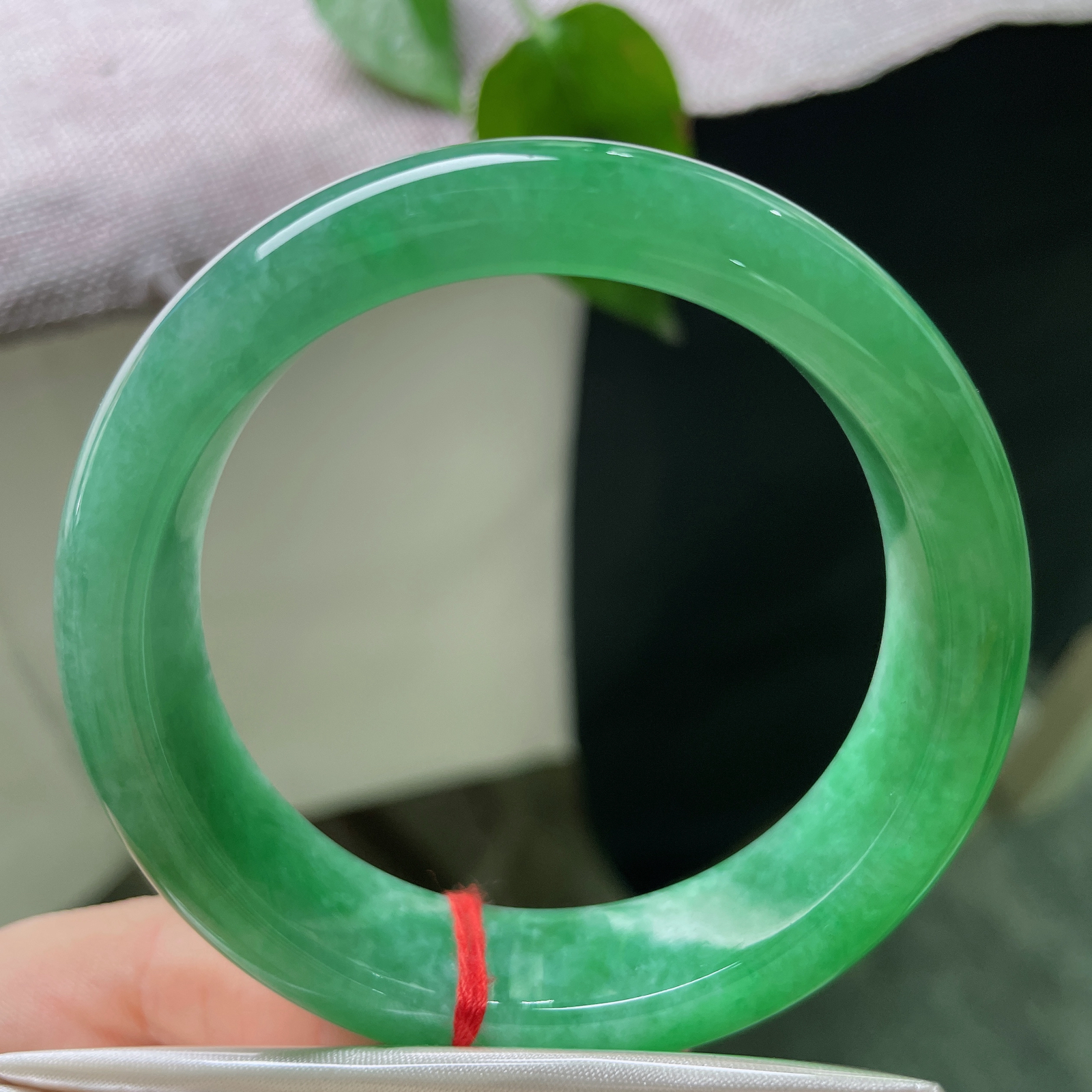 54.6/14.6/8.8，满绿正圈，一点皮纹，小轮胎款，种老，有点棉，色好辣，上手富贵十足。ss5