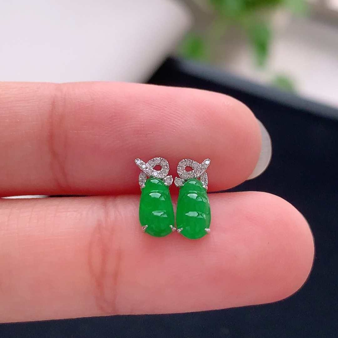 冰阳绿福豆耳钉 翠色明媚，冰润底子细腻，佩戴优雅时尚 货号51803，6.8-4.1-1.9