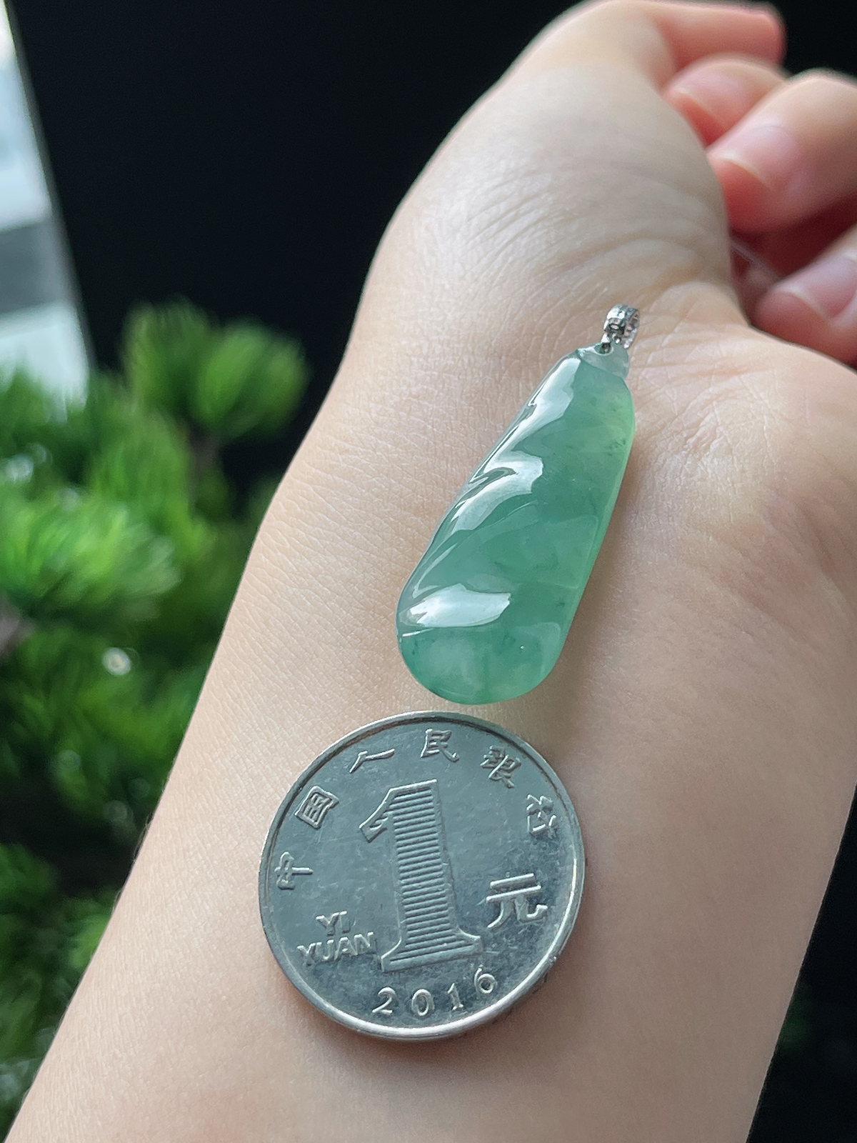 18k金翡翠冰糯种绿色福豆