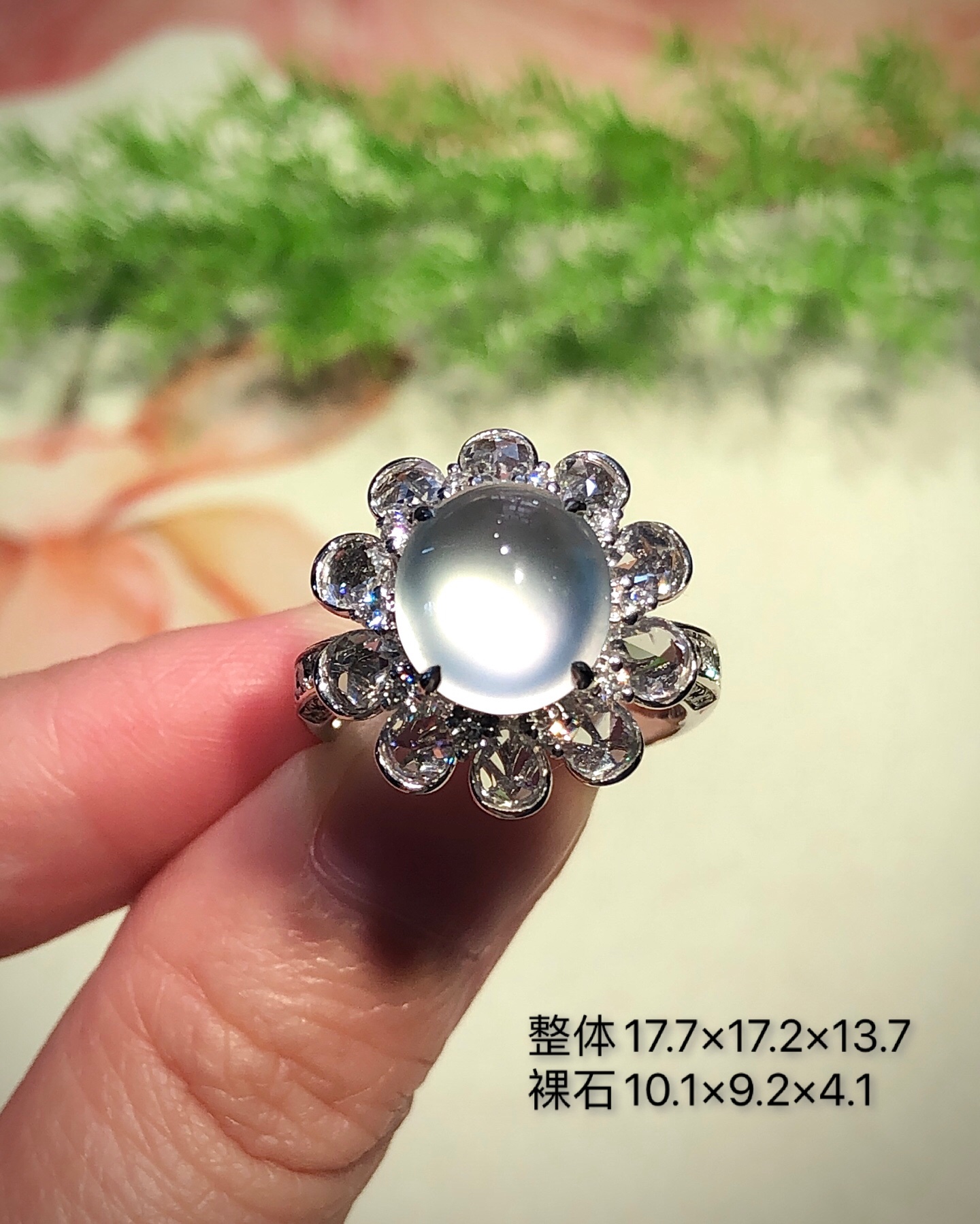 缅甸玻璃种鸽子蛋戒指底子干净纯洁，裸石饱满，光感十足，上手气质高雅～无裂17.7×17.2×13.7
