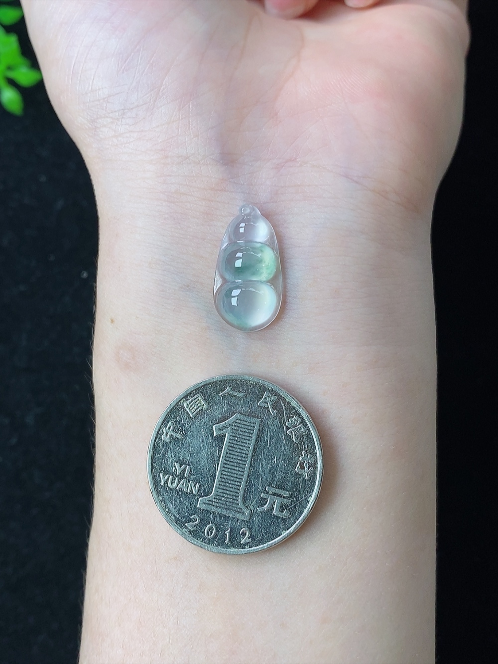 冰飘花福豆，无裂，尺寸18.4-10-4.5mm,813haay
