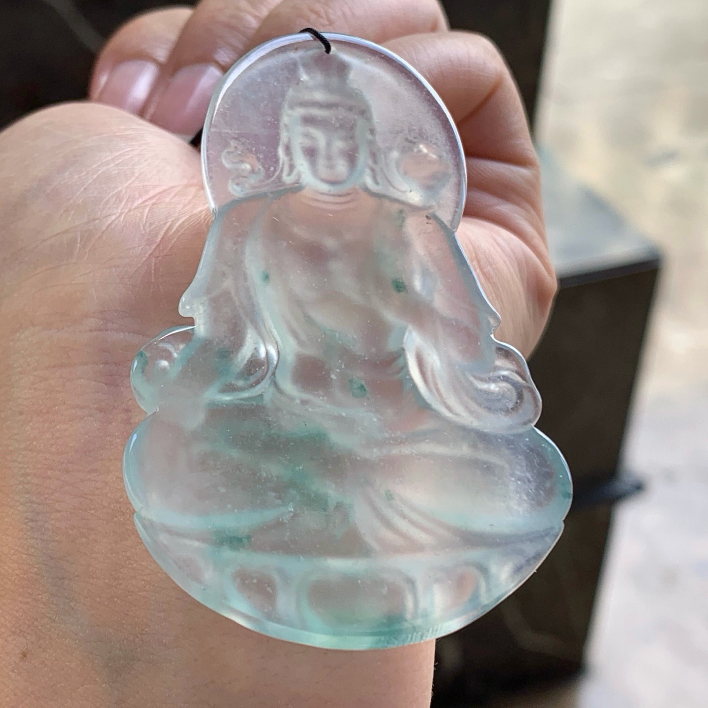 高冰观音^_^种老 荧光十足
