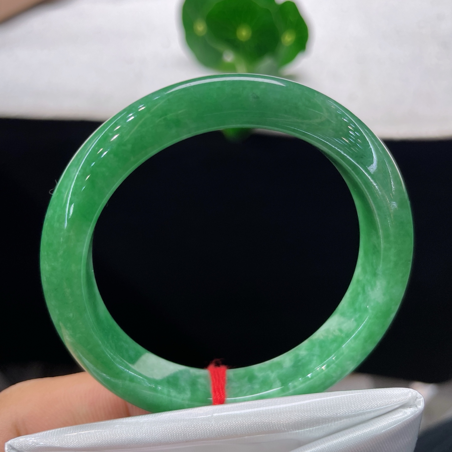 翡翠手镯 圈口53/11.3/8.3，满绿正圈，52/53可戴，一碧凝玉璧，翠色满环生。无裂
