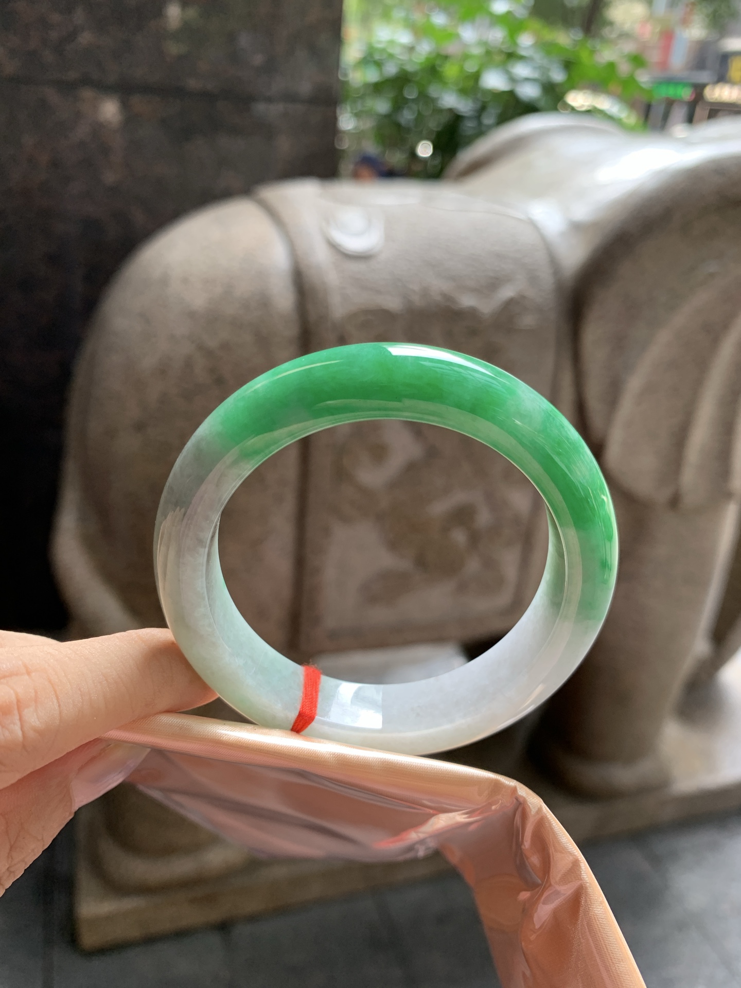 乌鸡辣绿正圈,0815-772-34,打灯棉线，细纹