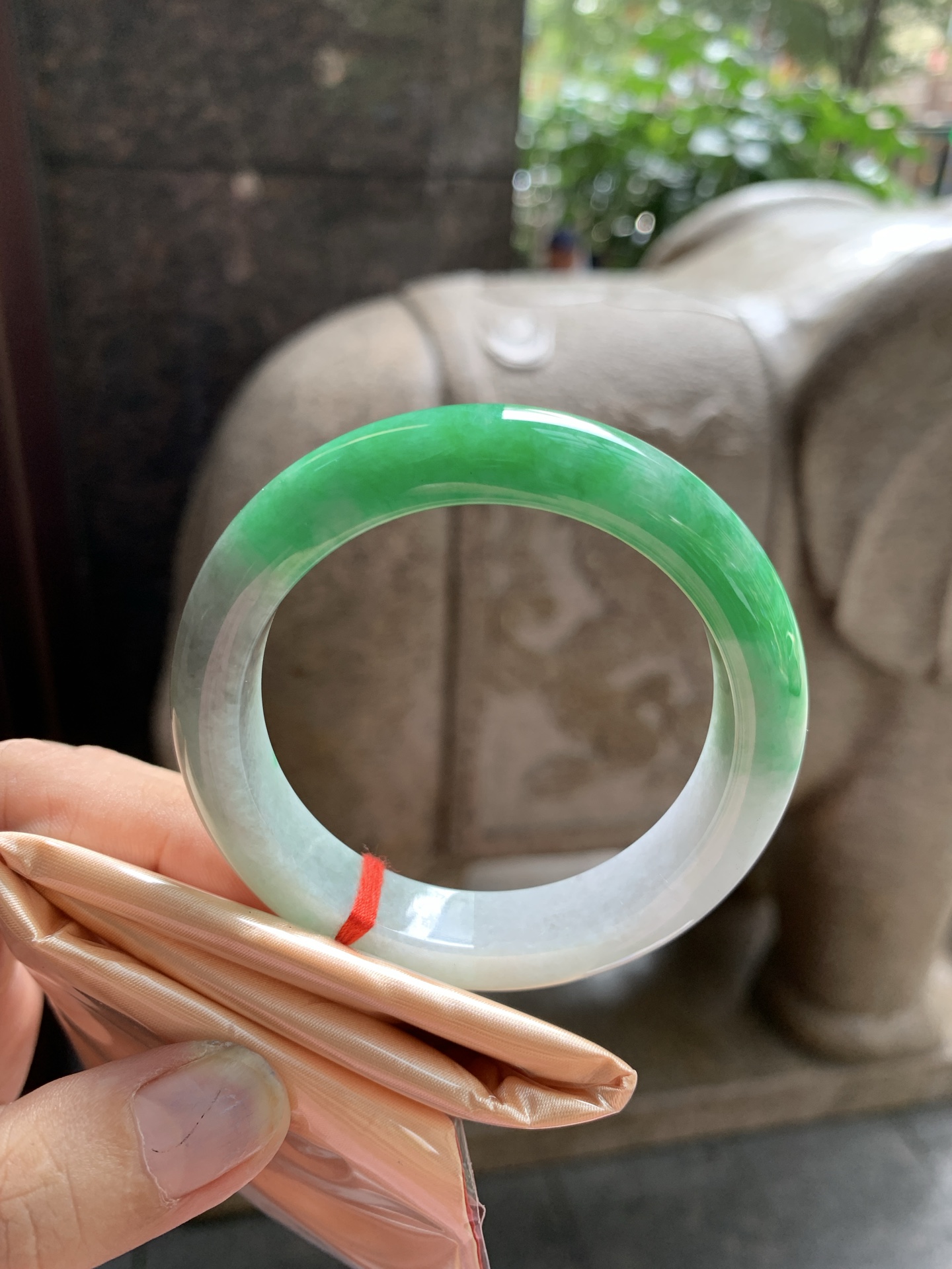 乌鸡辣绿正圈,0815-772-34,打灯棉线，细纹