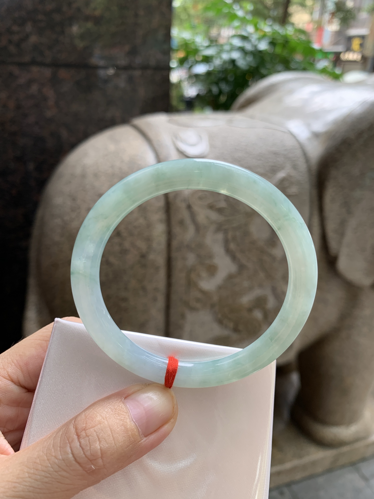 淡绿底圆条 0815-N1343