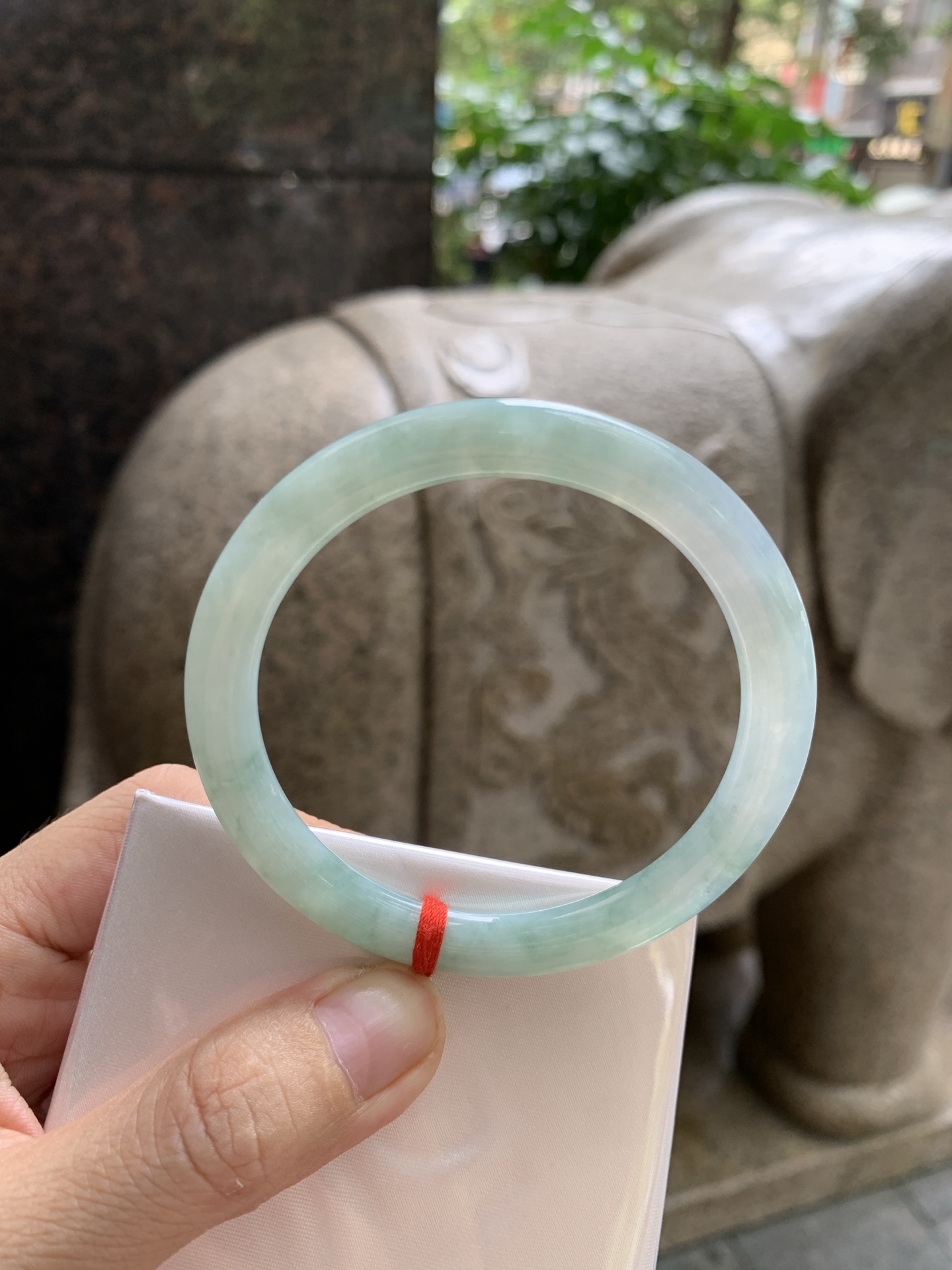 淡绿底圆条 0815-N1343
