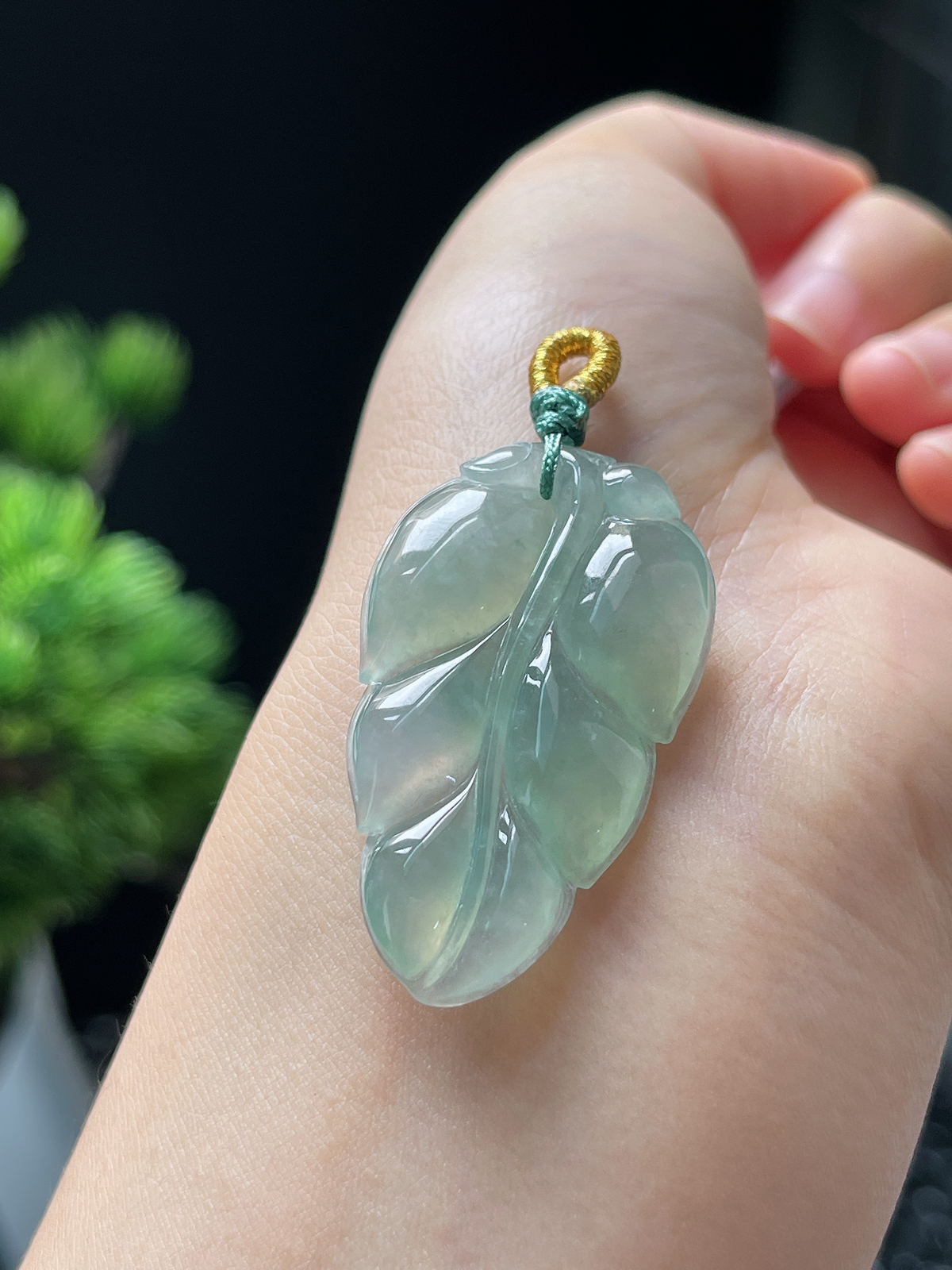 翡翠冰糯种绿色叶子