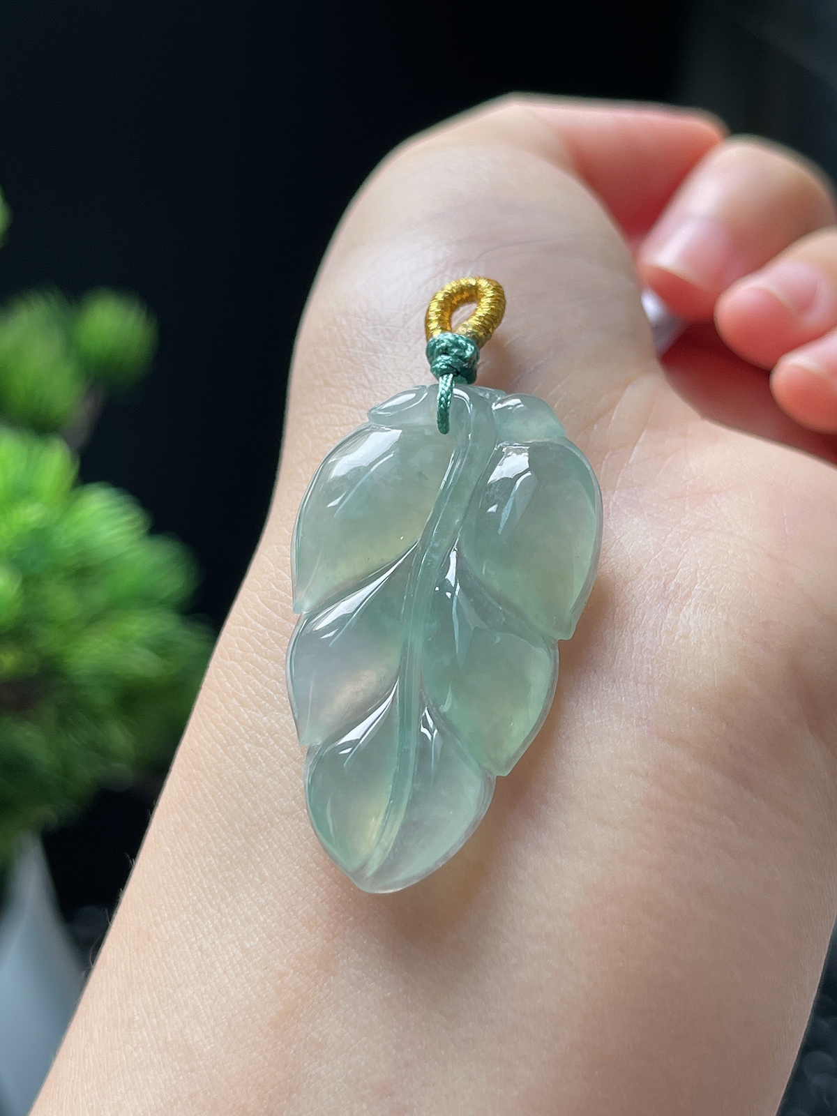 翡翠冰糯种绿色叶子
