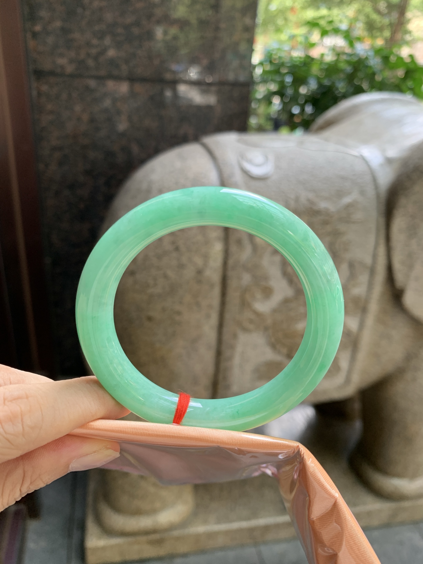 满绿圆条,55.5-9.7-10.1,0816-N1351,打灯棉线