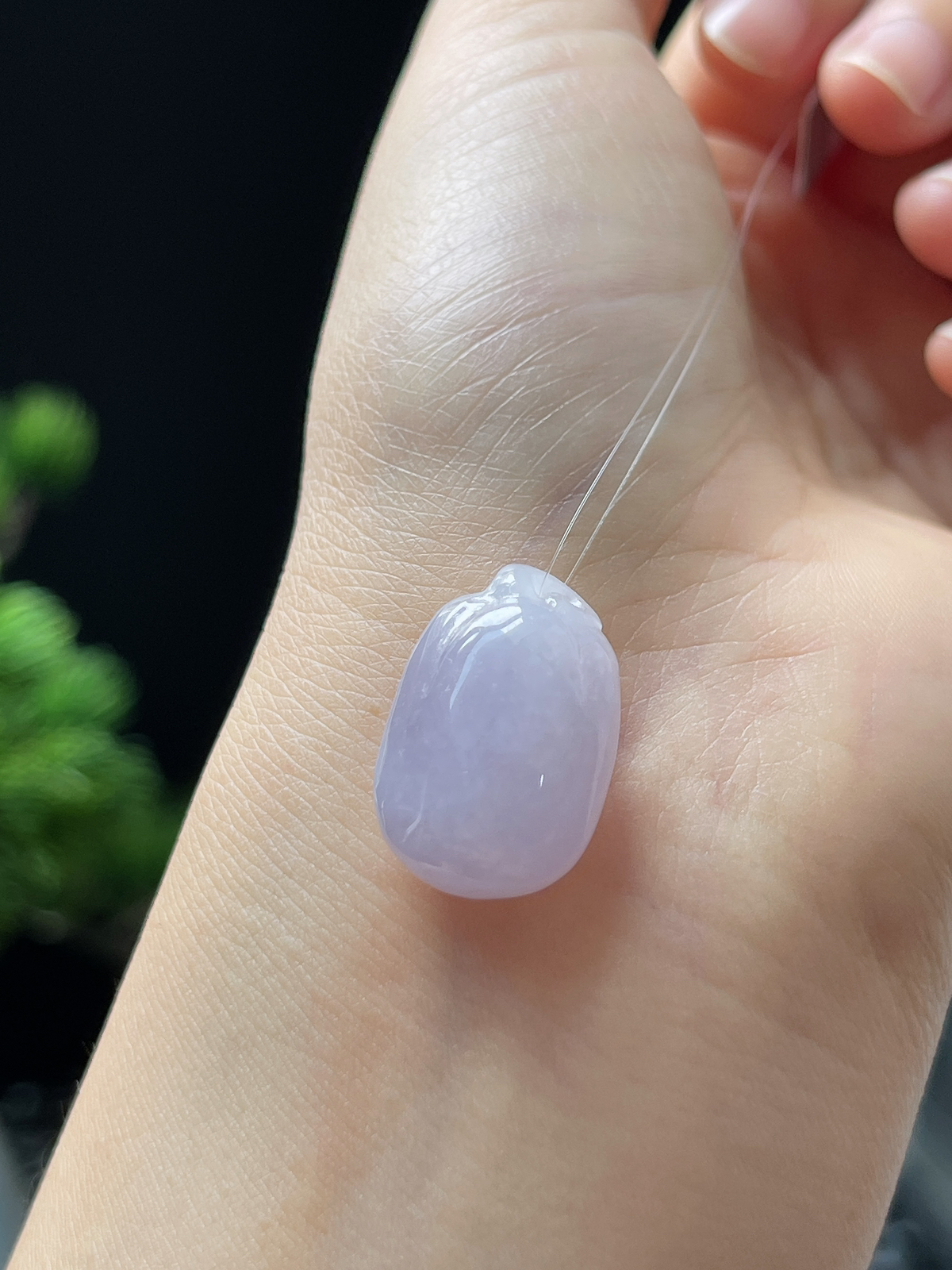 翡翠糯化种紫罗兰福瓜