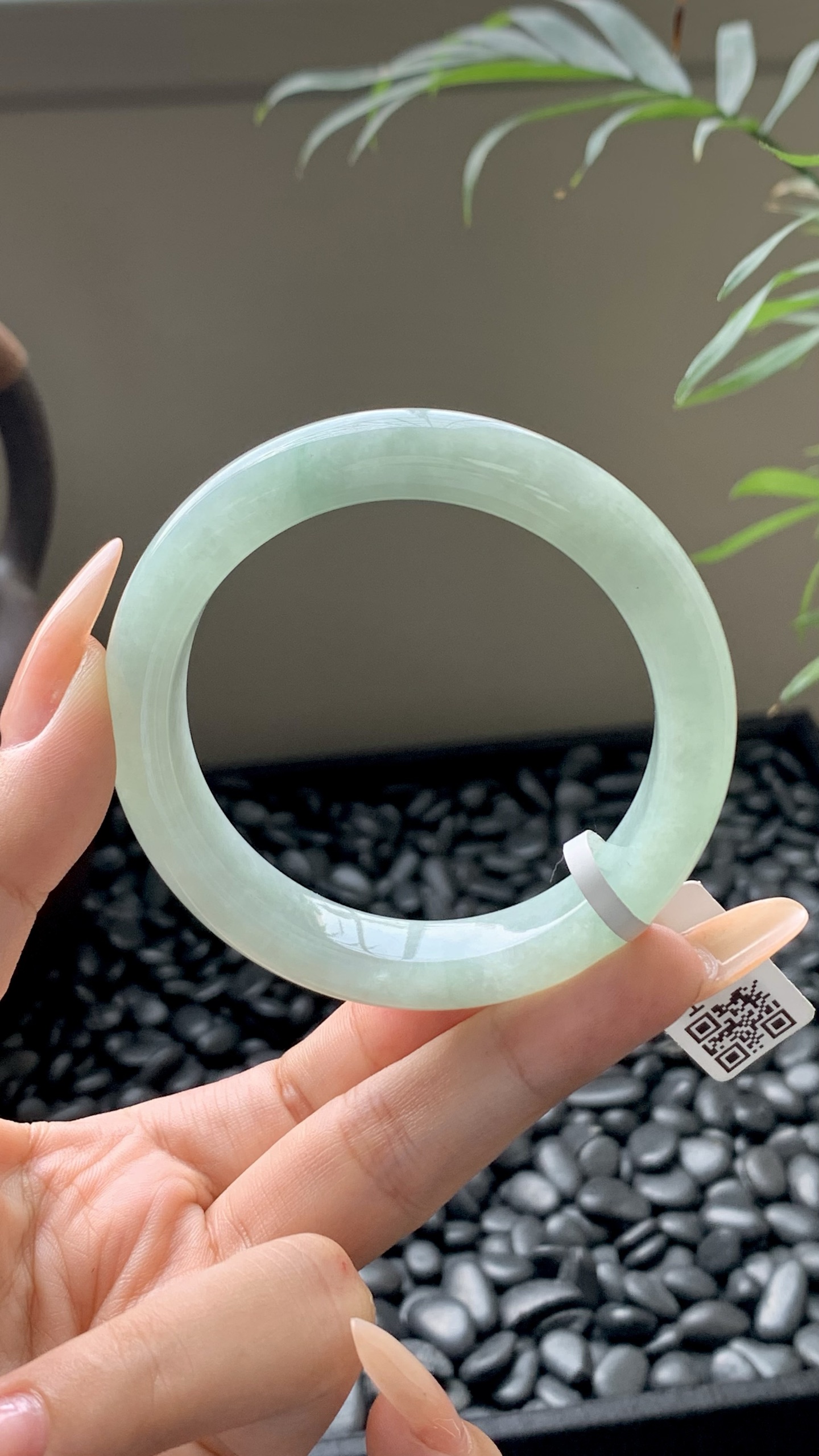 晴绿正圈成品 HYC-619 ⭕️52-11-8.5