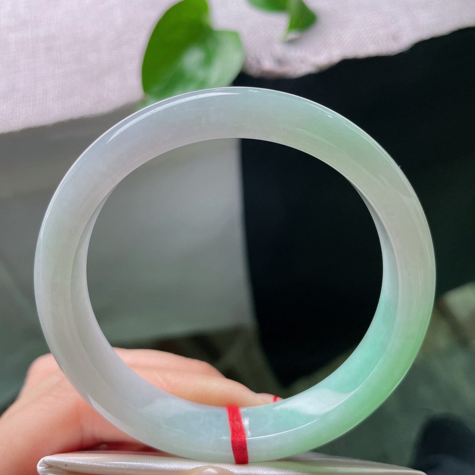 #限时特惠#57.7/11.6/7.6，绿底正圈，清新淡雅，甜美自然，春天的气息ss57152a