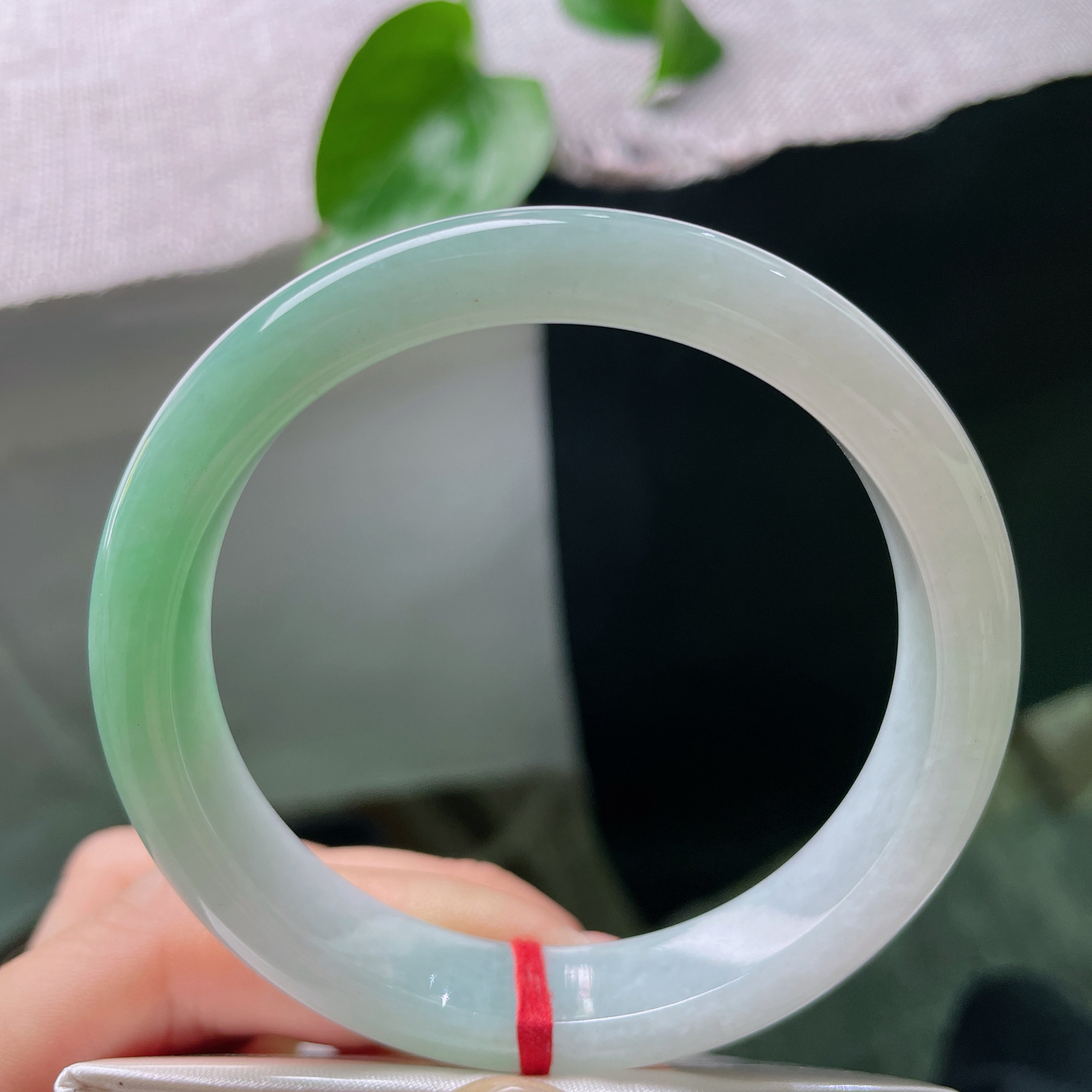 #限时特惠#57.7/11.6/7.6，绿底正圈，清新淡雅，甜美自然，春天的气息ss57152a