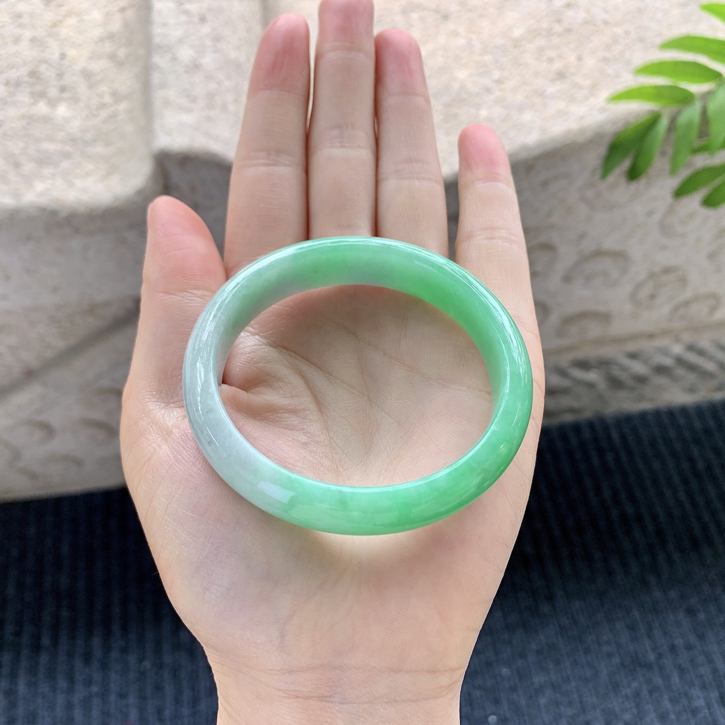 贵妃50 51，圈口53.8/48.7/12.8/7，编码Y052-1，冰飘阳绿，细腻，水润，种老，