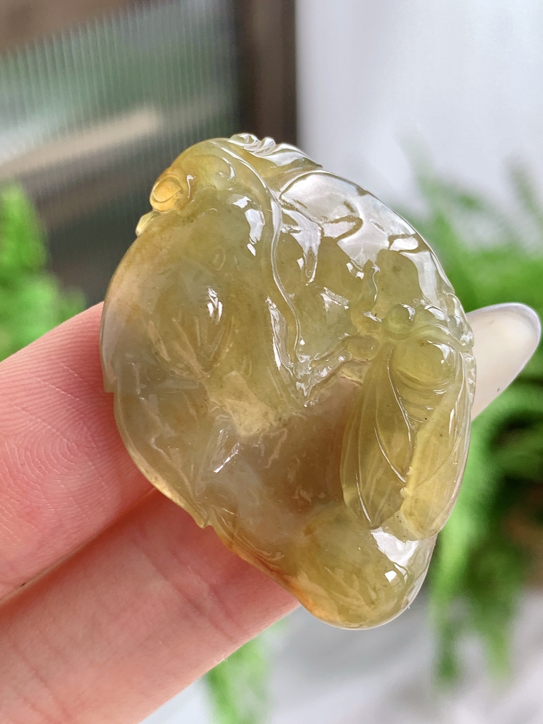 糯冰黄翡大叶子树叶一鸣惊人牌吊坠，缅料 性比高 立体 厚度，尺寸40-29-6.3，重量10.7克