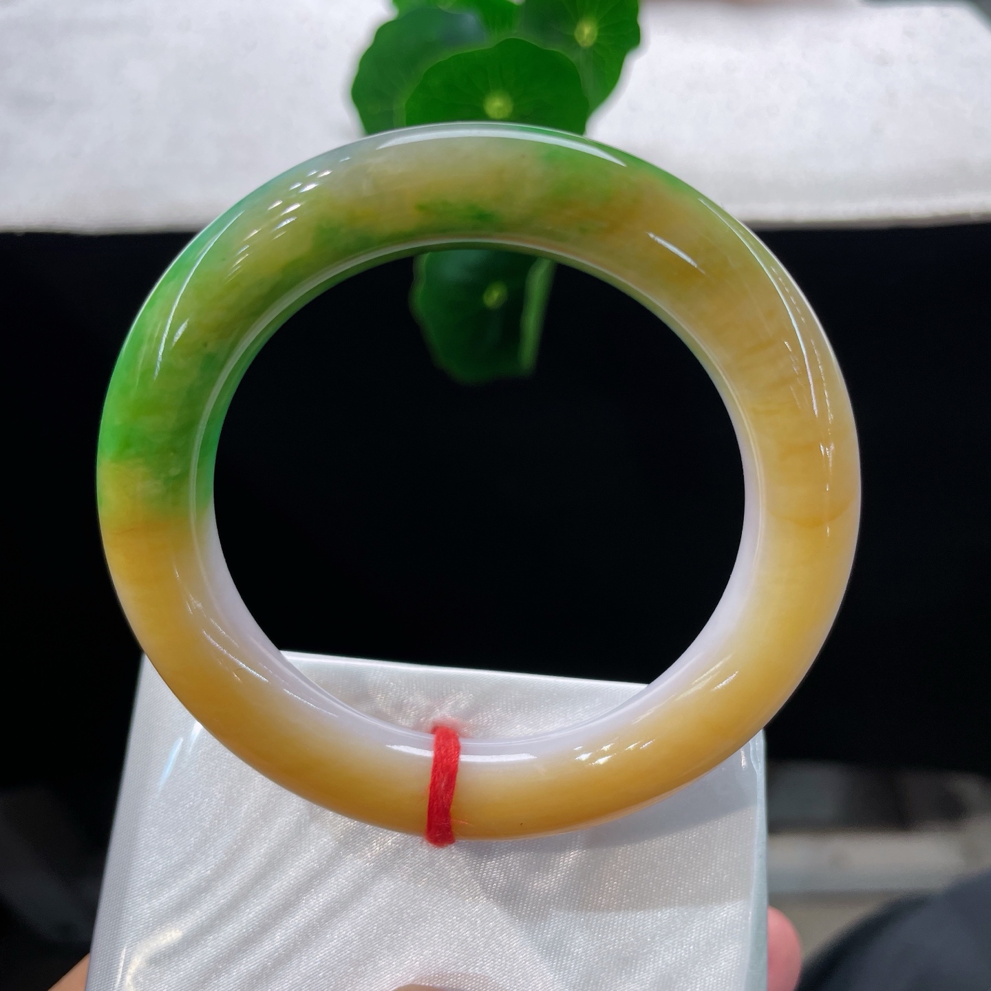 翡翠手镯 圈口54.1/11.3，三彩胖圆条，54/55可戴，暖黄柔和三色相融，一镯揽三韵，无裂