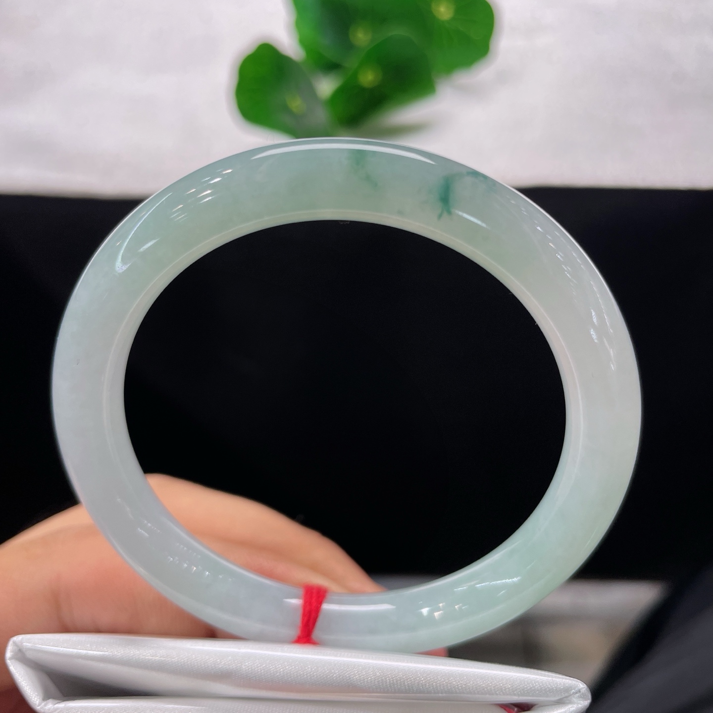 翡翠手镯 圈口54.3/8.5/8.2，圆条飘花，55/56可戴，仿若晨雾含翠，冰润清透，飘花如翠影