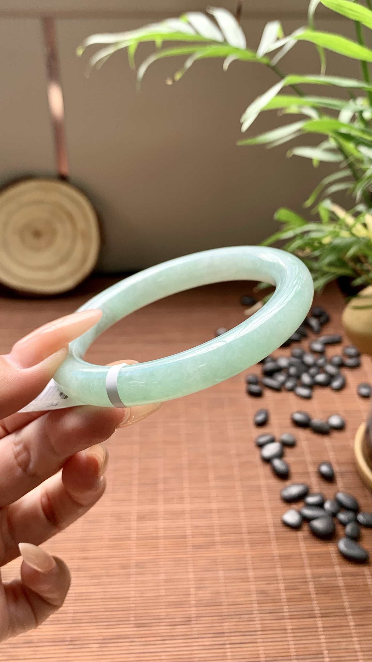 晴绿圆条成品 HYY-204 ⭕️57-10-10