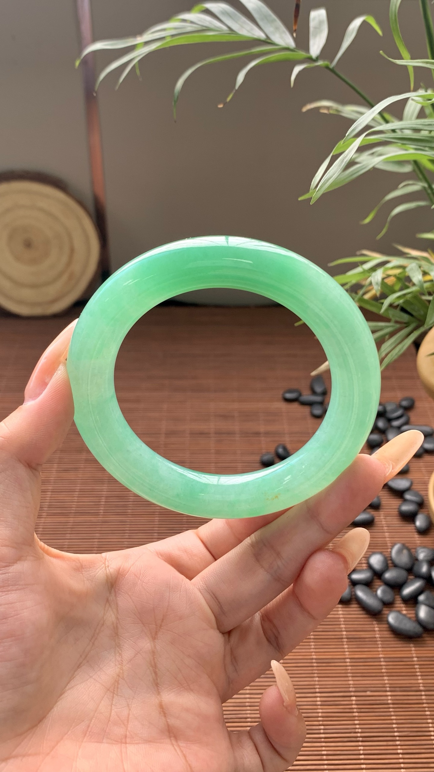 阳绿圆条成品 HYY-9670 ⭕️57-12-12