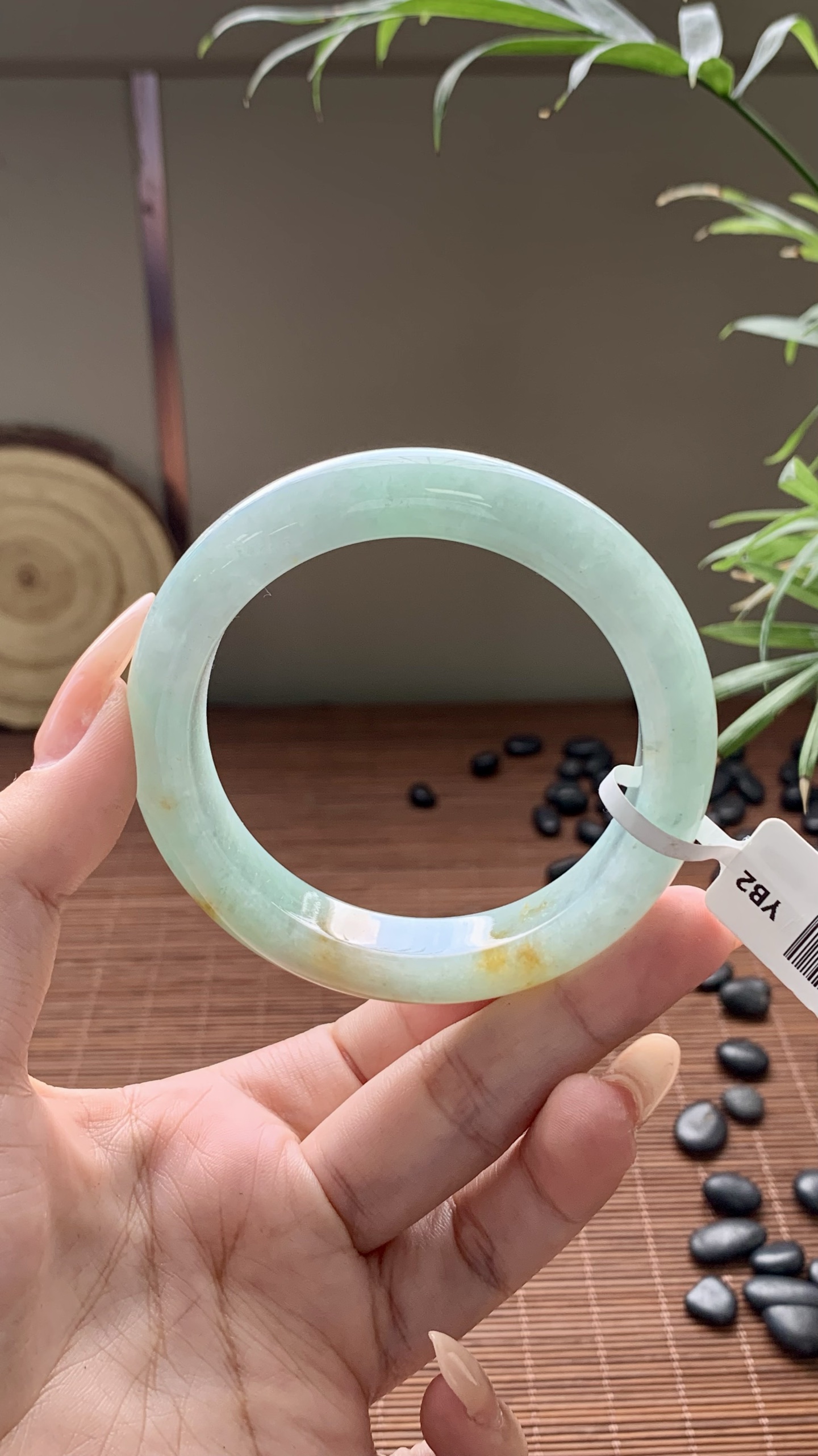 果绿洒金正圈成品,HYY-8508,⭕️55-12-9