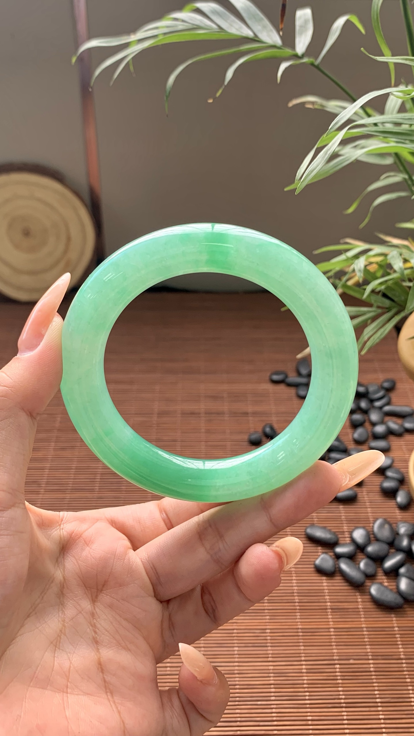 阳绿圆条成品 HYY-9670 ⭕️57-12-12