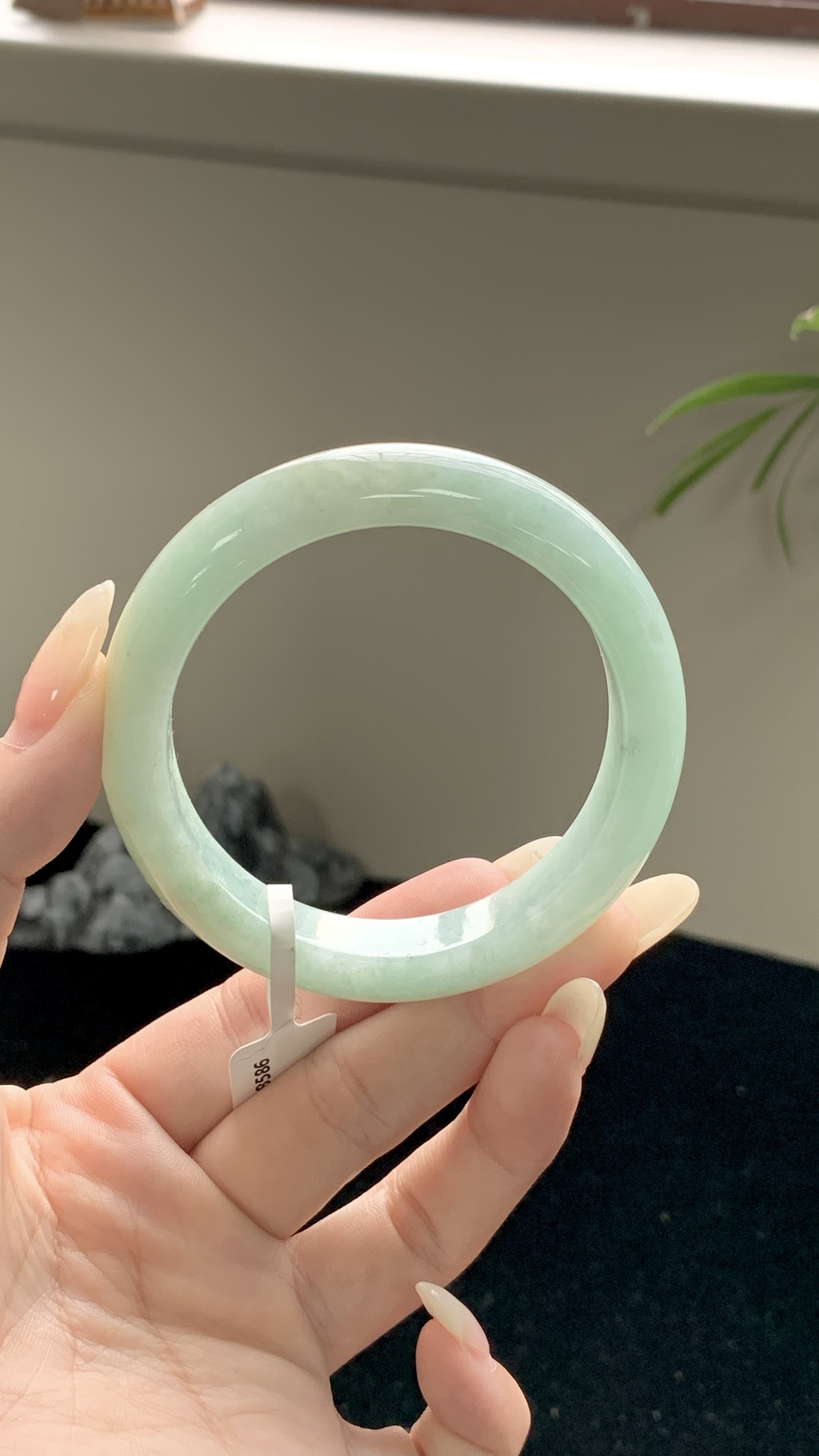 果绿洒金正圈成品,HYY-8586,⭕️54-12-8