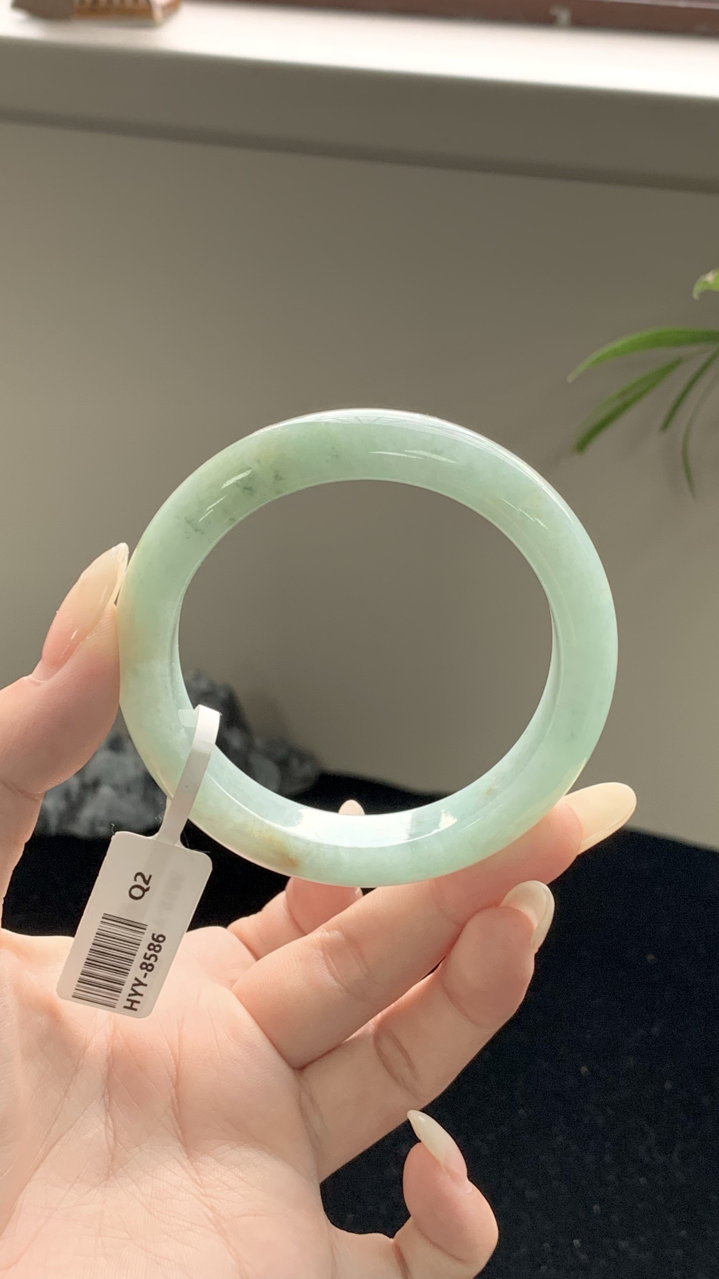 果绿洒金正圈成品,HYY-8586,⭕️54-12-8