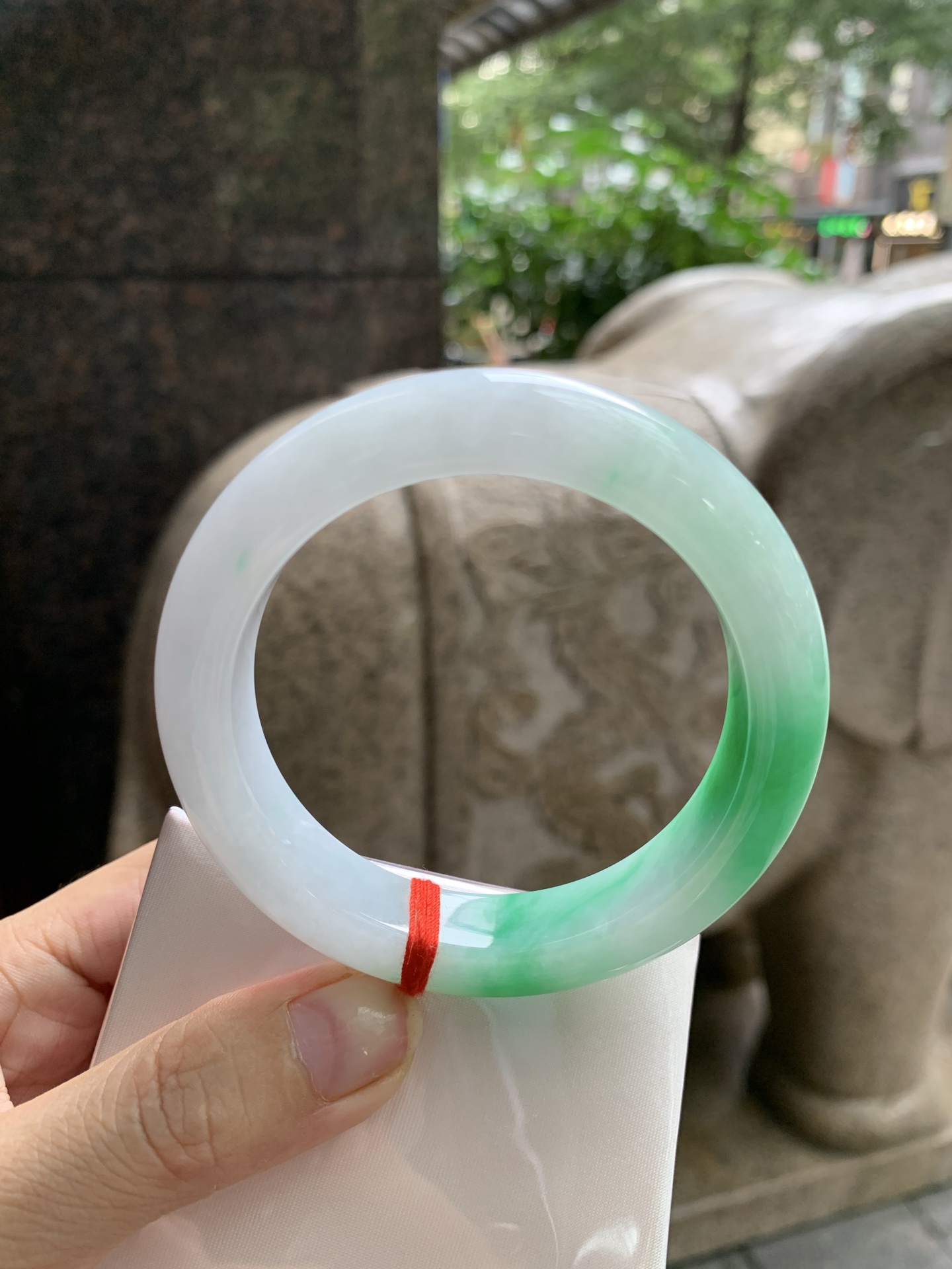 阳绿白底青正圈,0822-HN1379,打灯长纹
