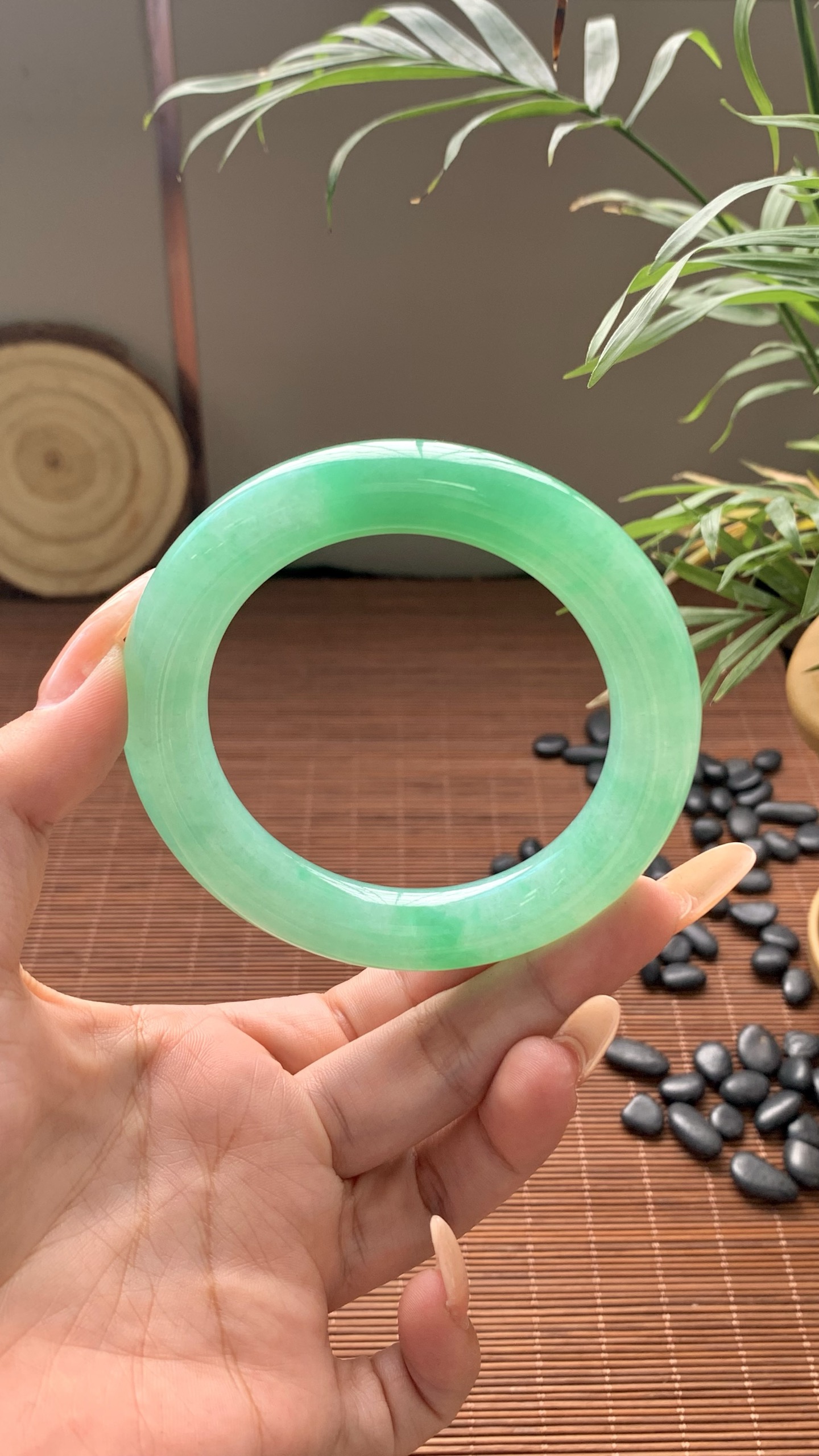 阳绿圆条成品 HYY-9670 ⭕️57-12-12