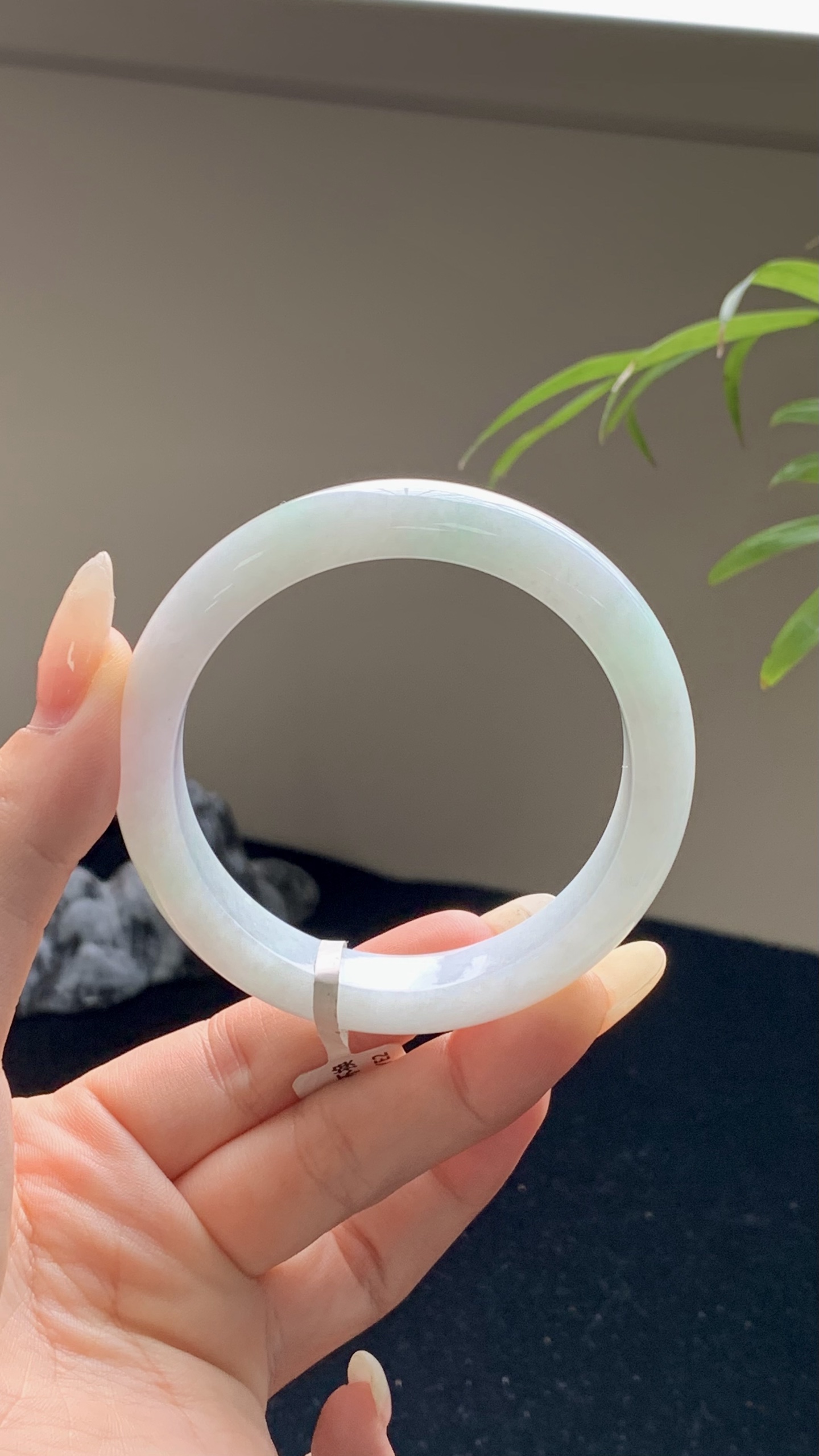 晴底正圈成品,HYY-7677,⭕️54.5-12-7.5