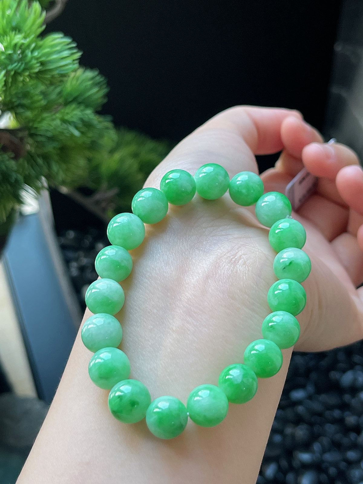 翡翠糯化种绿色手链