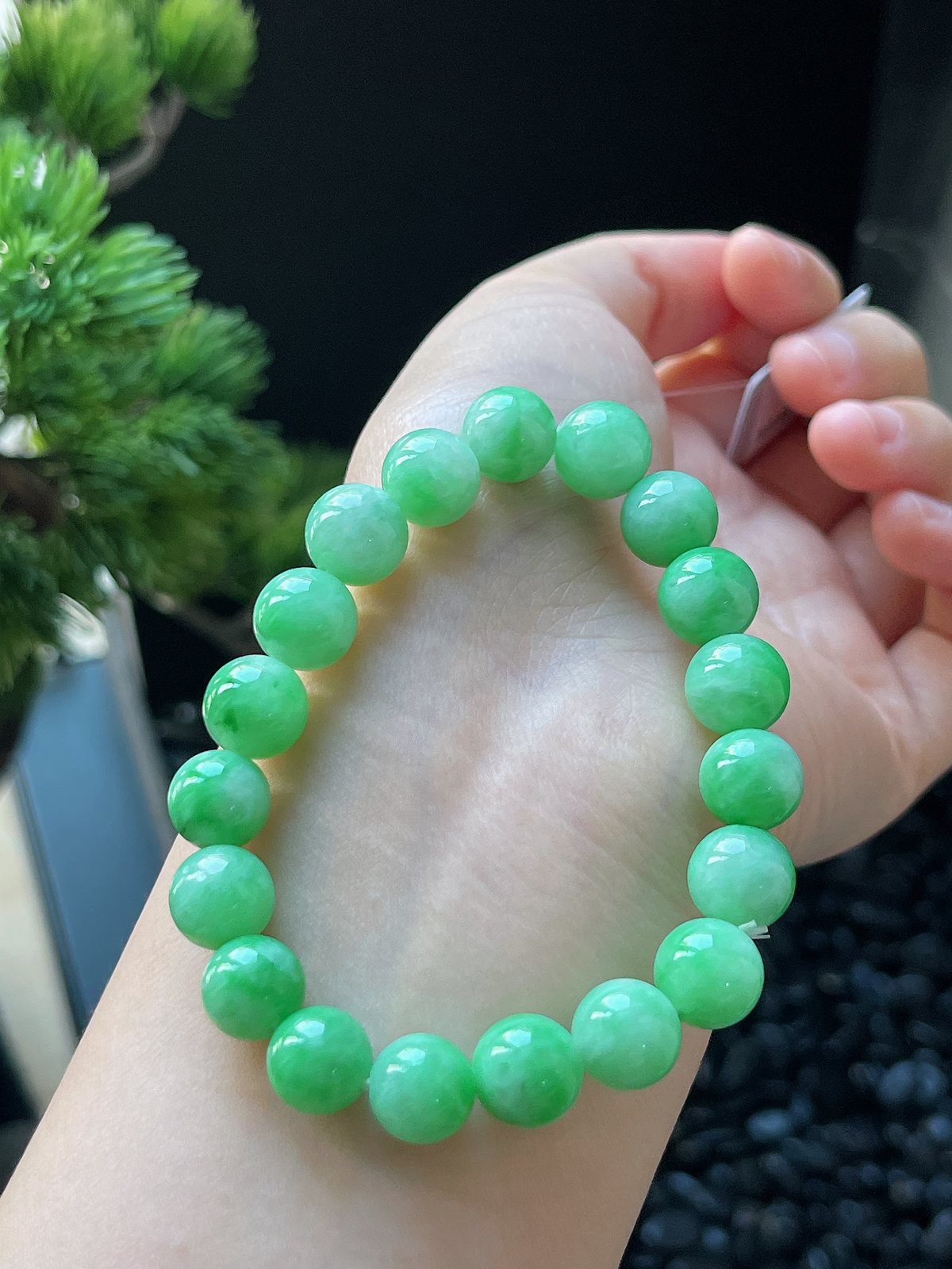 翡翠糯化种绿色手链