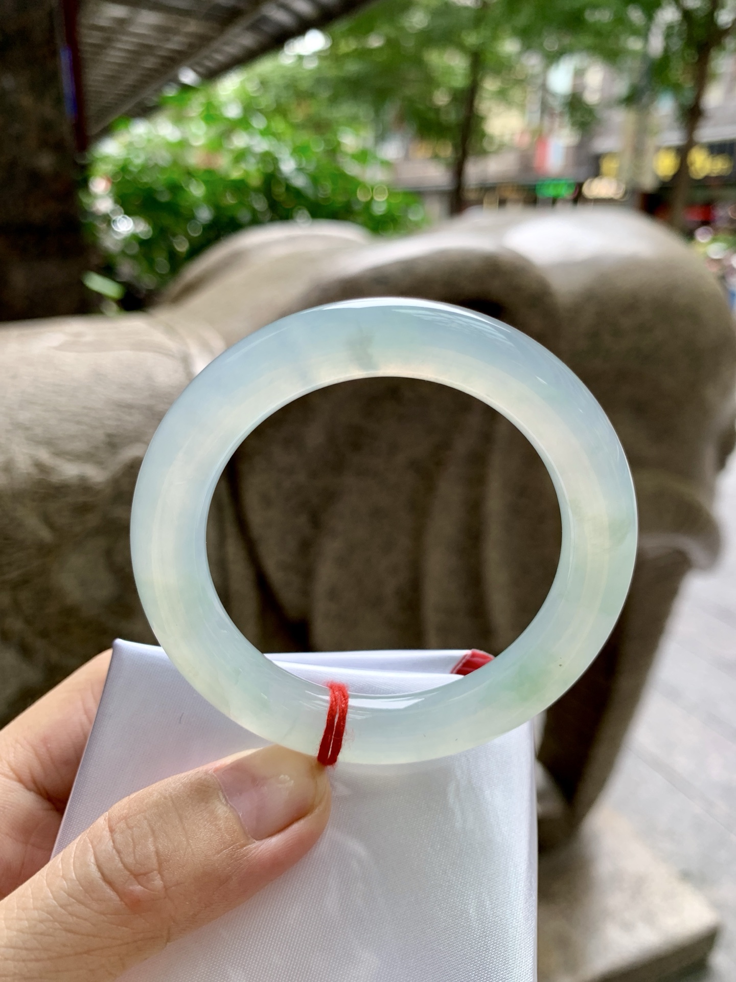 淡晴底圆条,0824-094-1536,打灯细纹