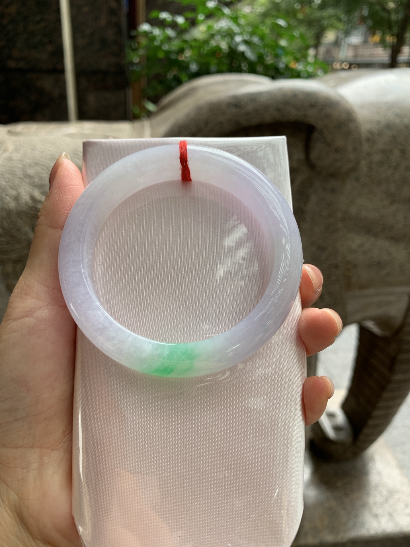 春彩正圈,0824-094-946,打的长棉纹