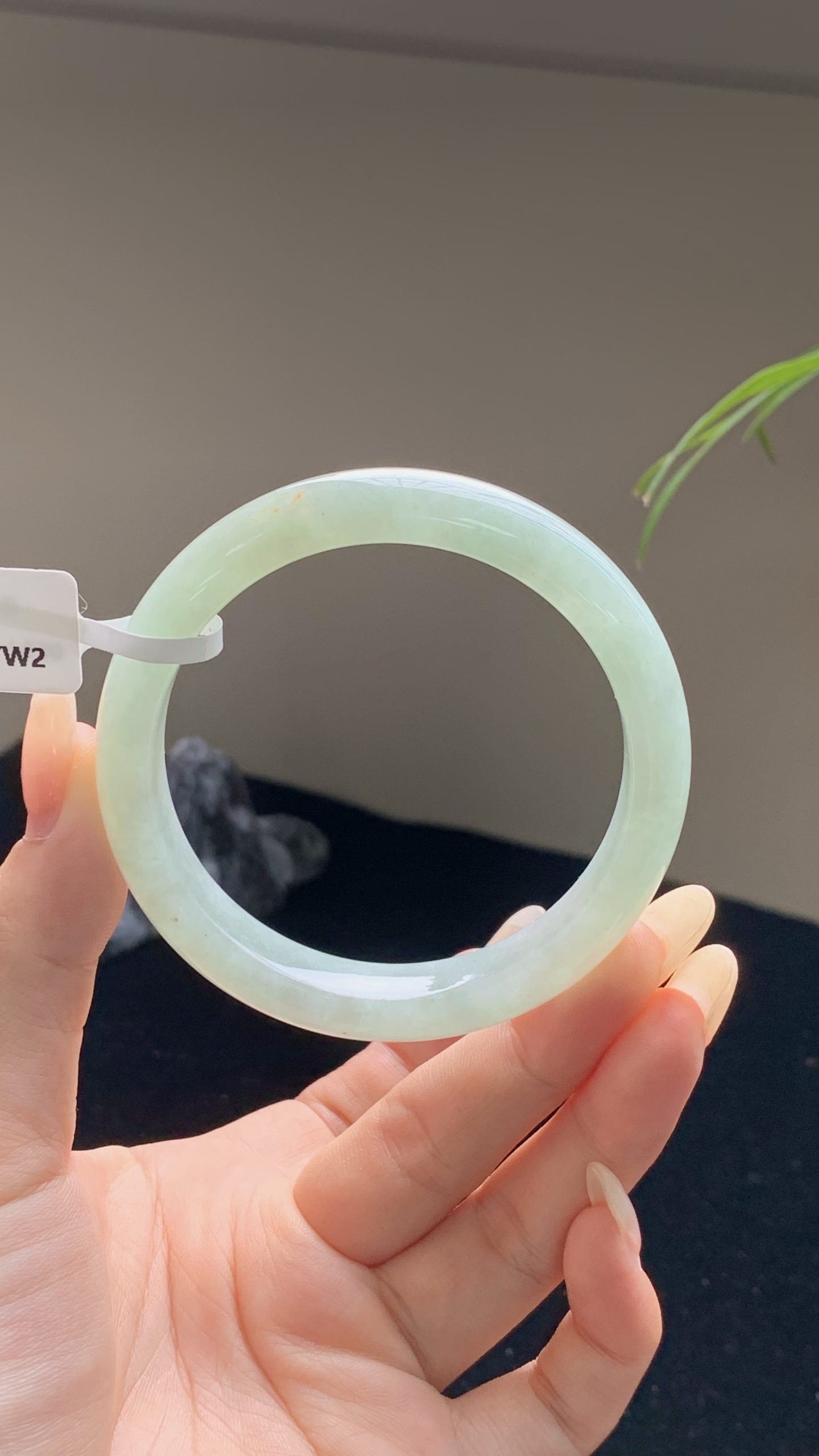 果绿正圈成品 HYY-7630 ⭕️55-11-7