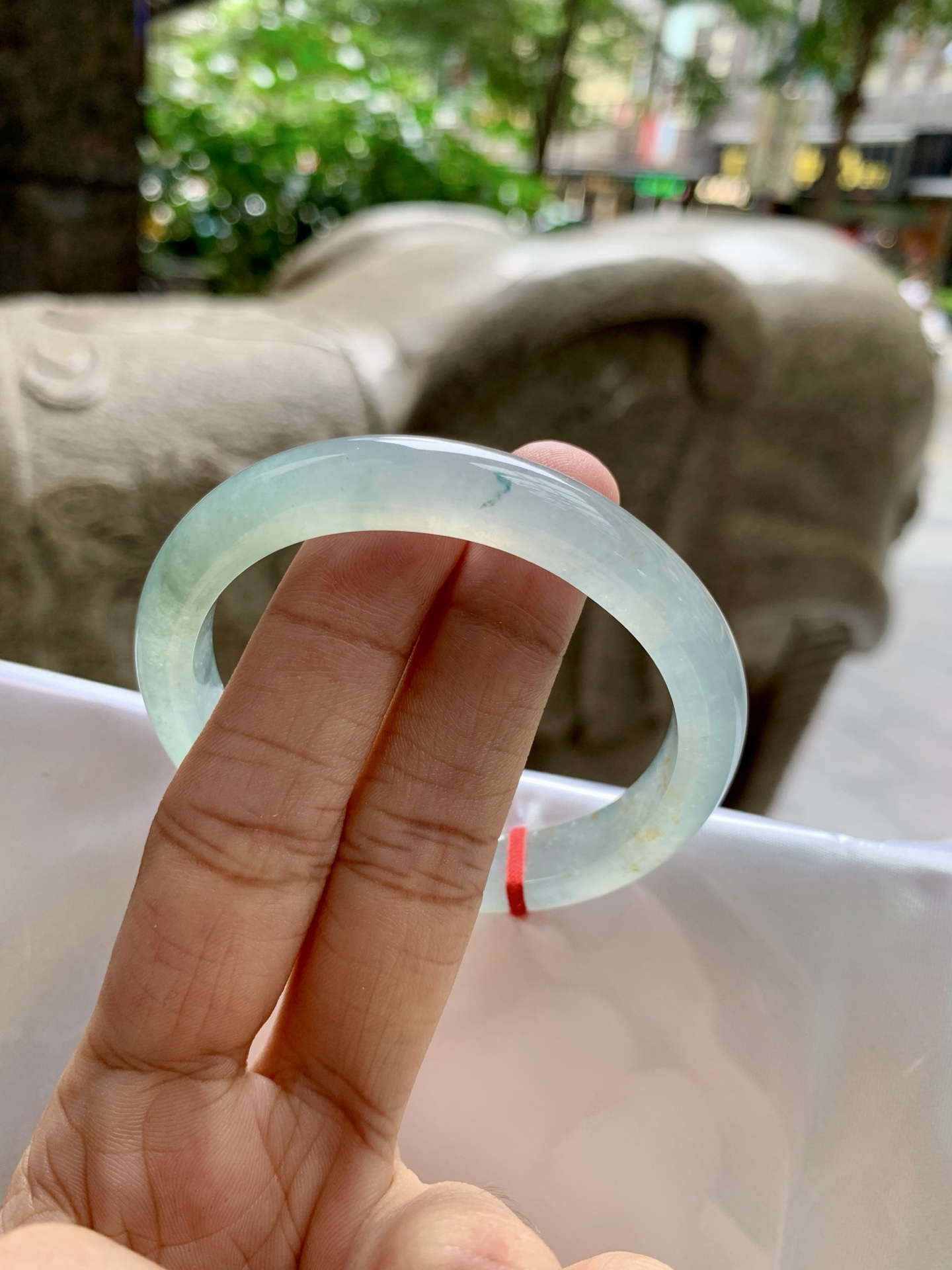 冰蓝洒金贵妃,打灯细纹