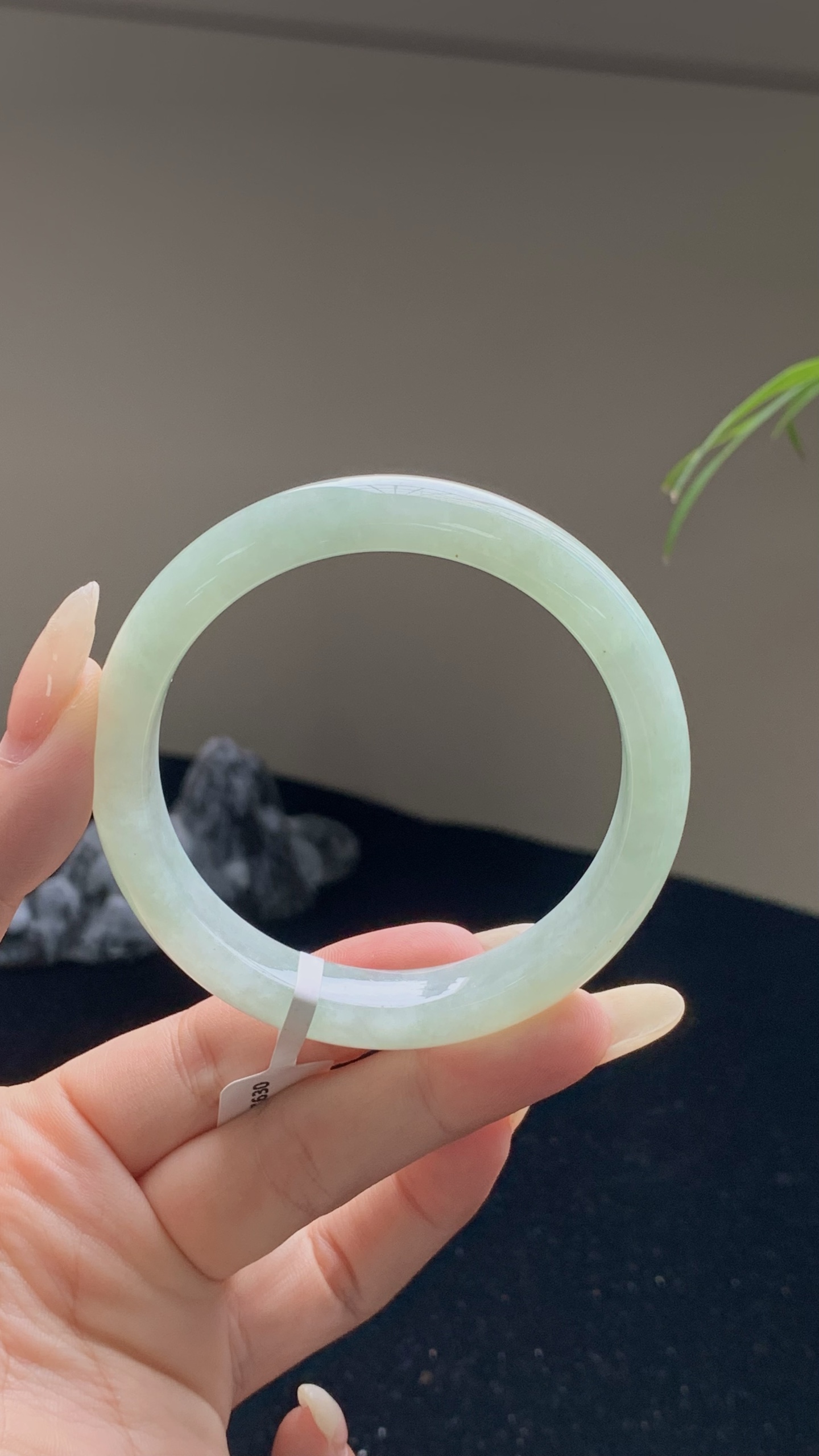 果绿正圈成品 HYY-7630 ⭕️55-11-7