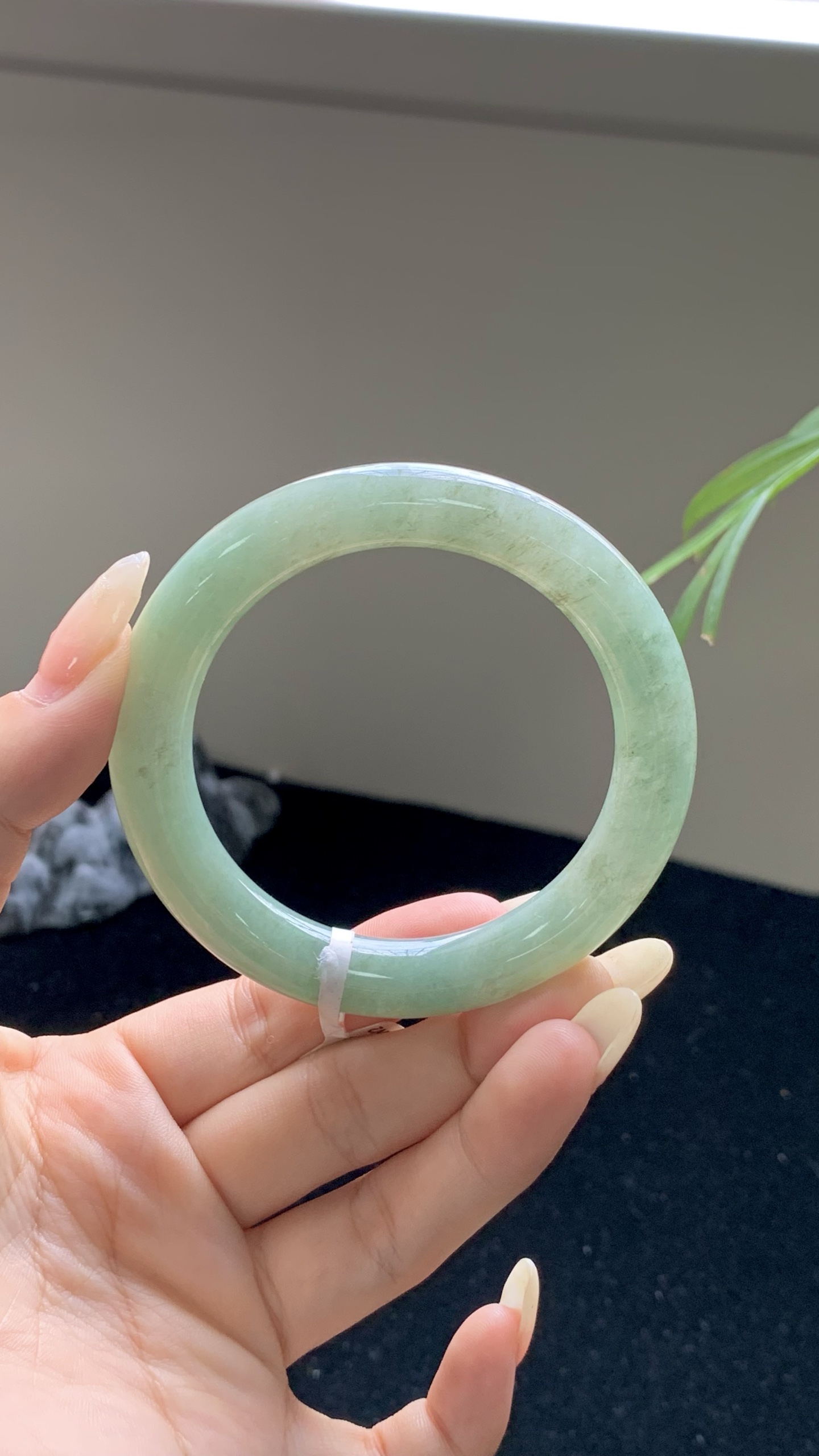 果绿圆条成品,HYY-888,⭕️54-10-10