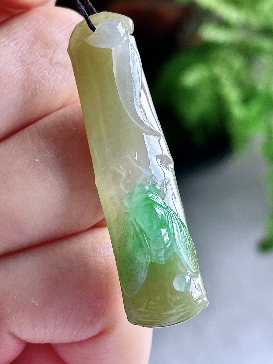 冰双彩黄加绿竹子竹节一鸣惊人吊坠, 缅料 无裂 性比高 超厚, 46.5-11.6-10.4, 9克