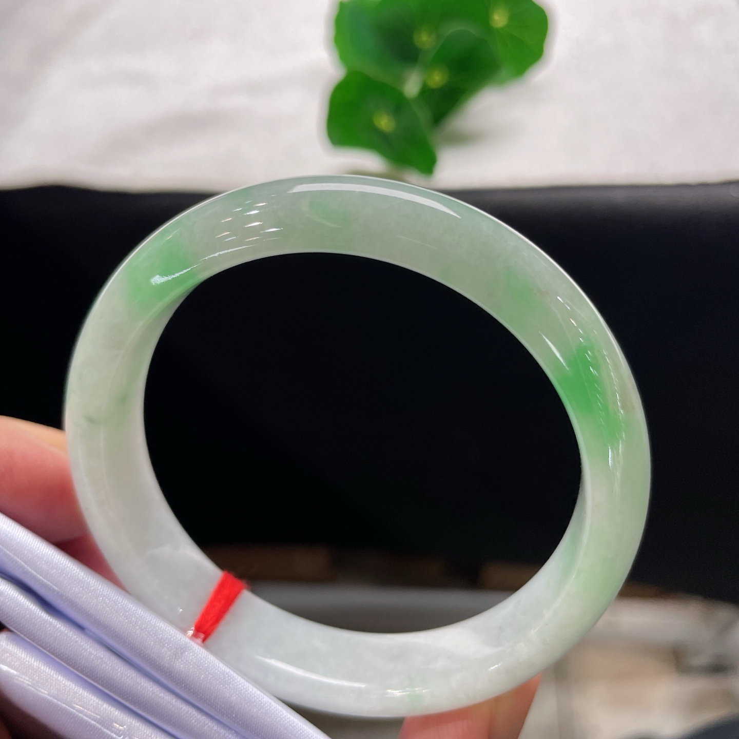 圈口60/12.8/8，飘绿正圈，59/60可戴，翠色如溪畔春芽，质地细腻。无裂。