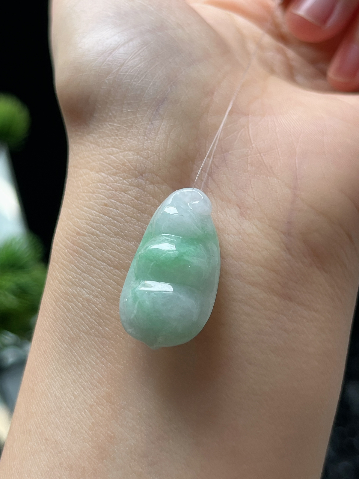 翡翠糯化种淡绿色四季豆挂件