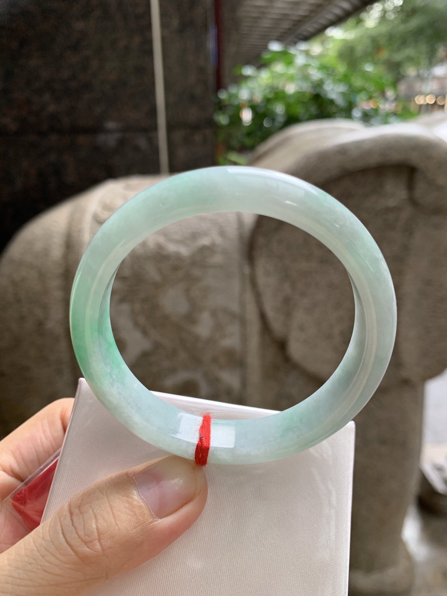 白底青正圈, 0826-N1421, 打灯细纹
