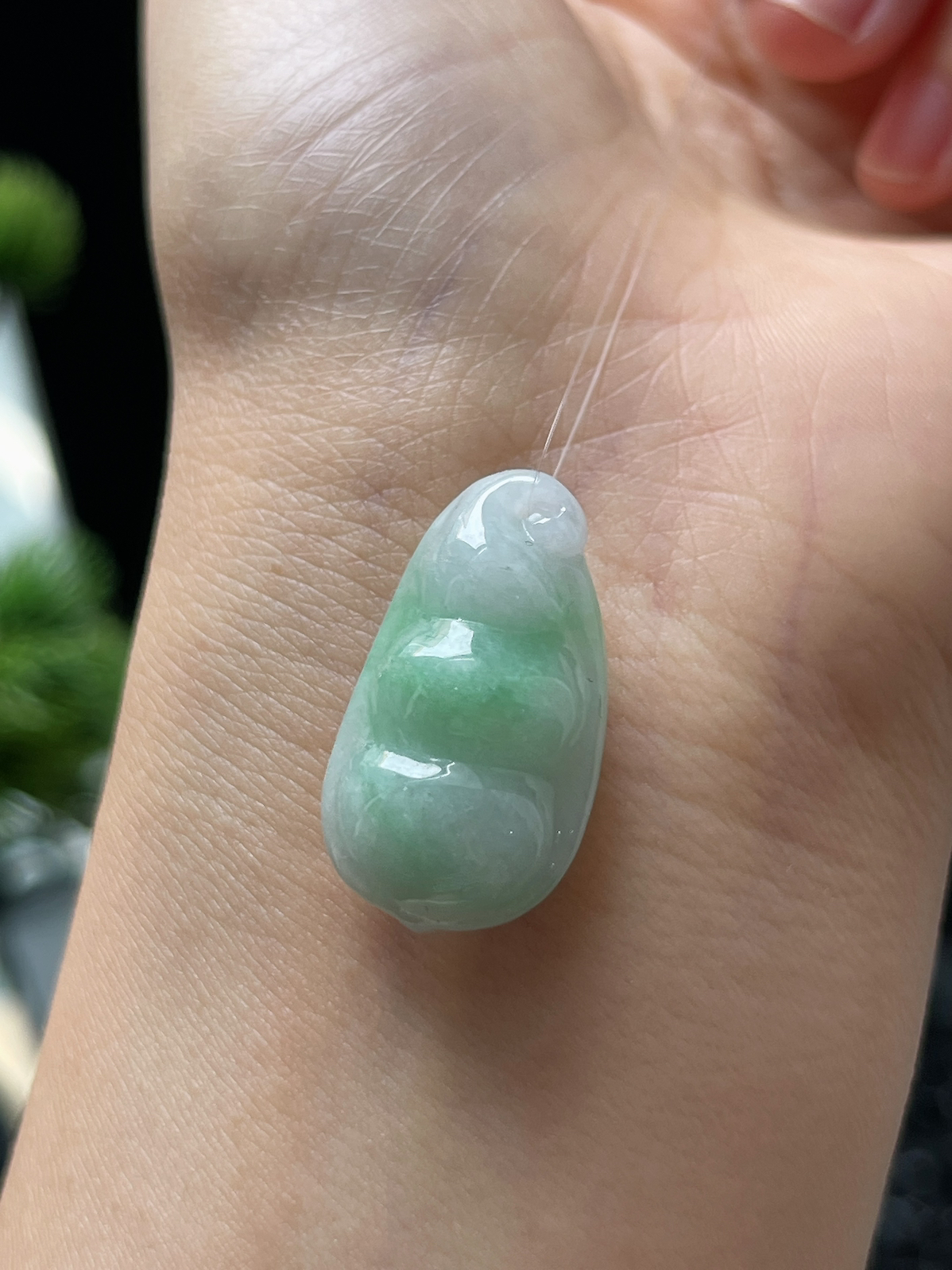 翡翠糯化种淡绿色四季豆挂件