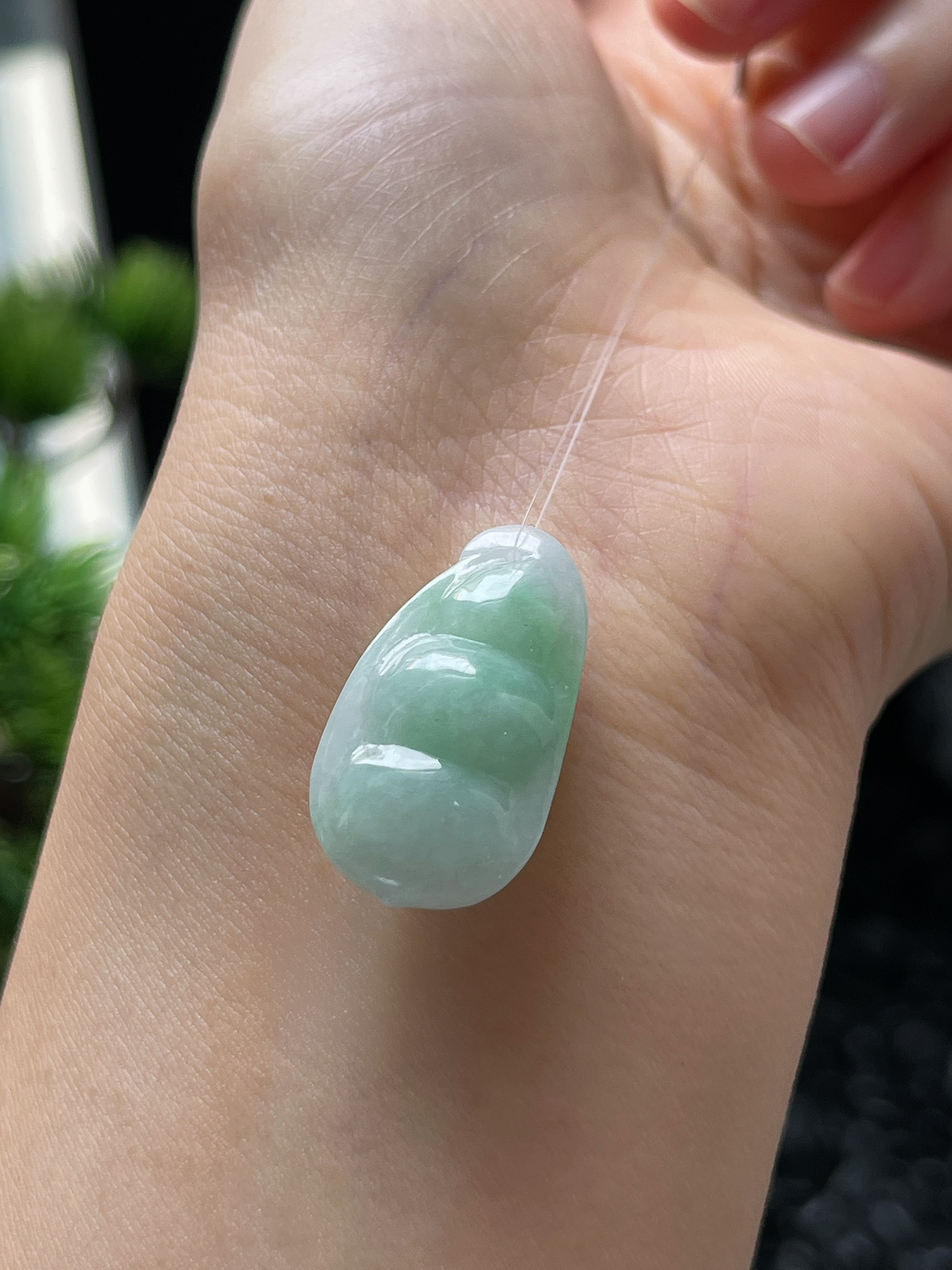 翡翠糯化种淡绿色四季豆挂件
