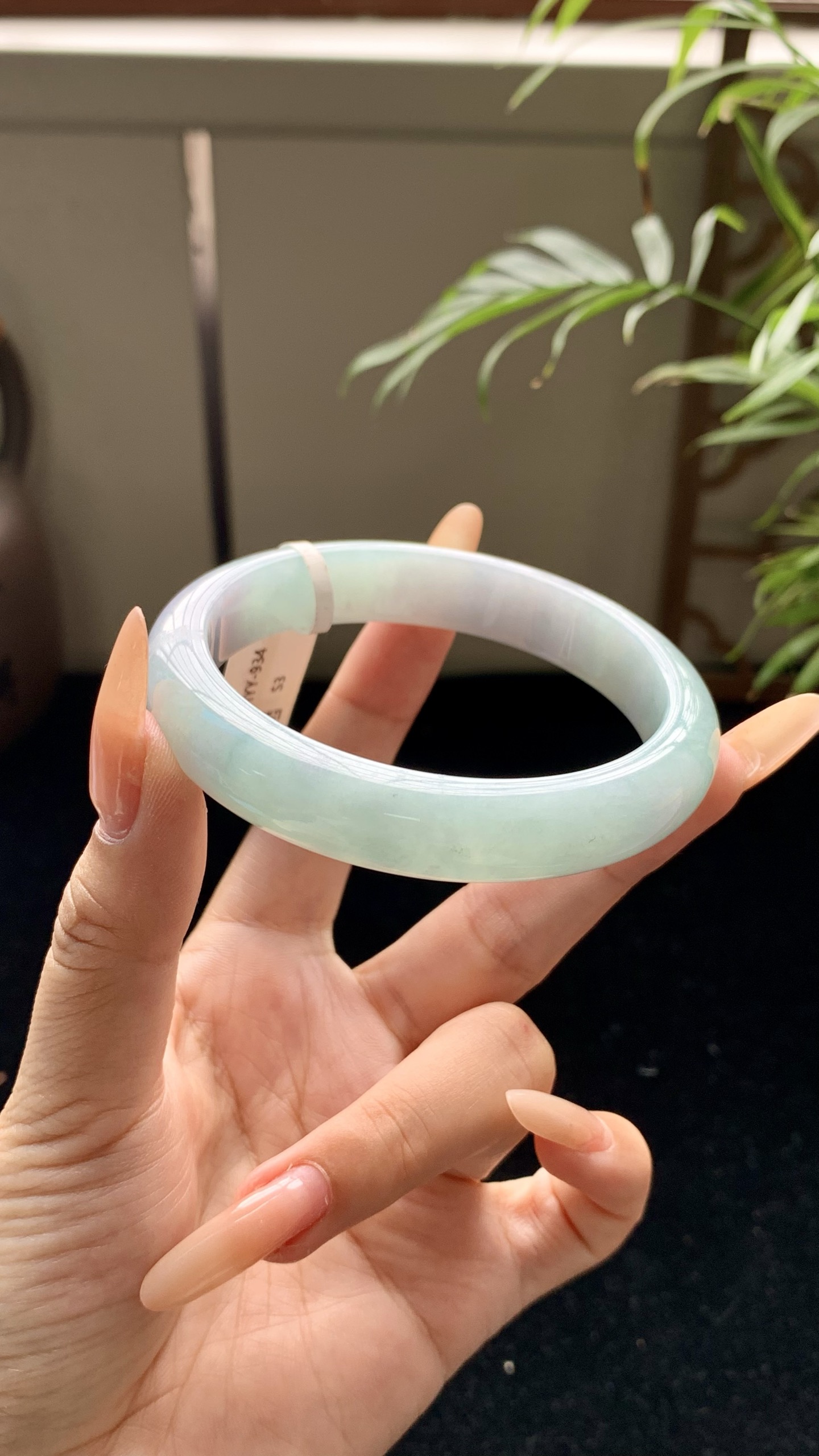 晴底正圈成品 HYY-934 尺寸：60-12-8
